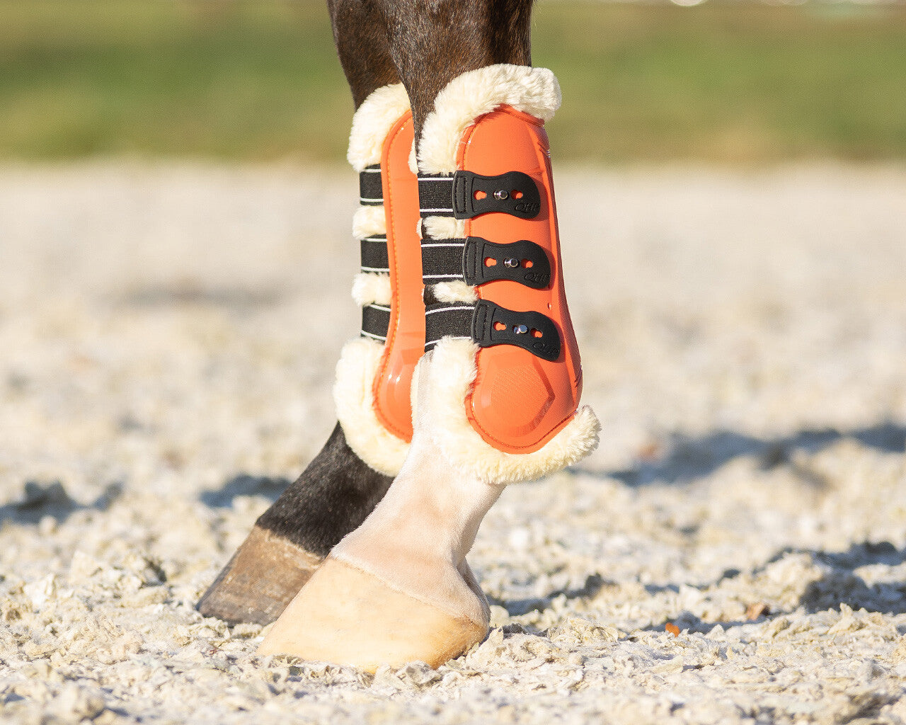 tendon boots menton