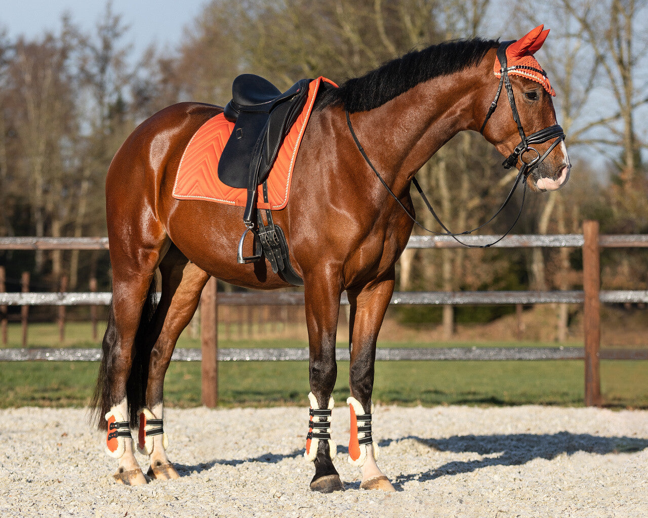 tendon boots menton