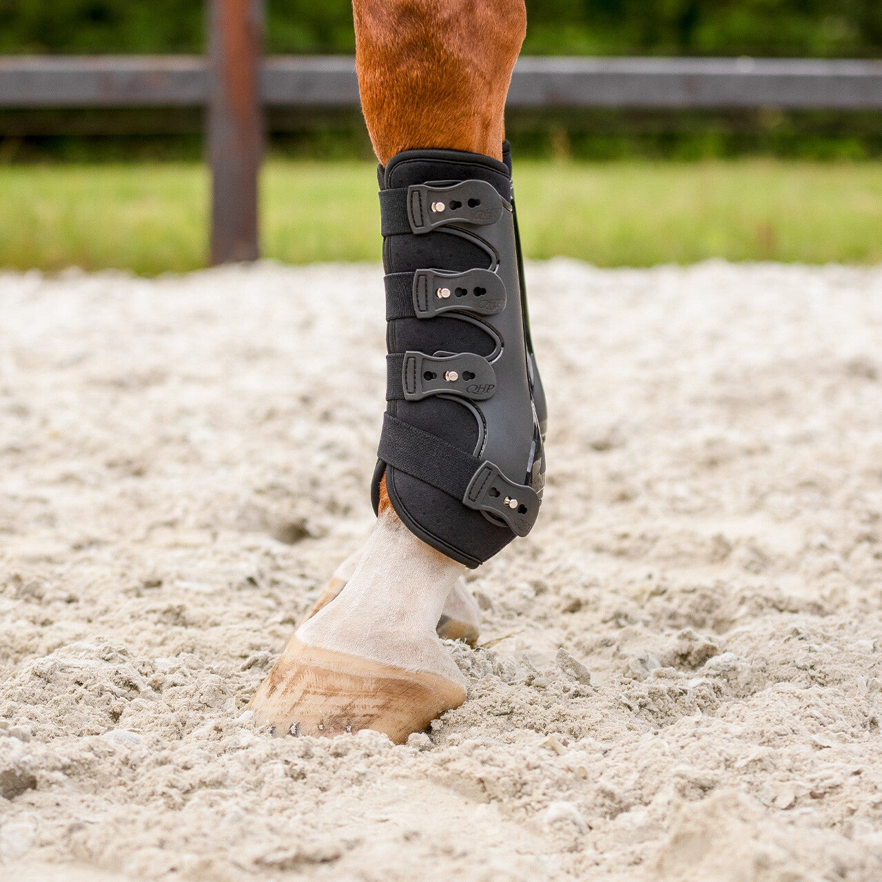 Leg protection front Champion