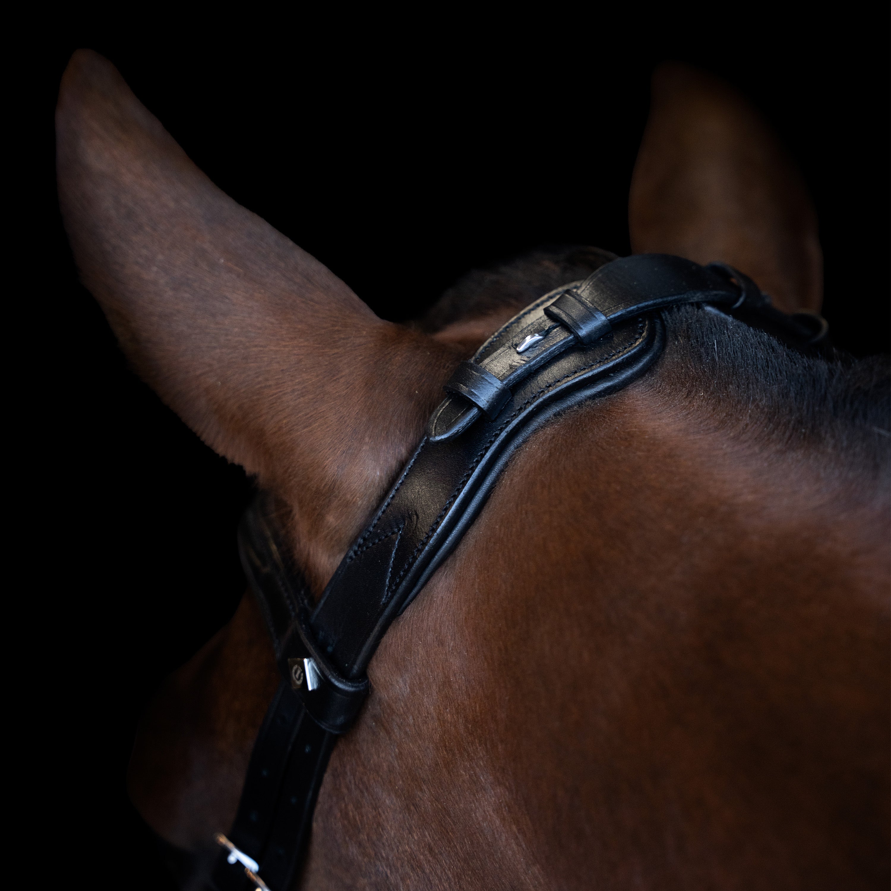 Bridle IRH with ergonomic drop noseband/flash