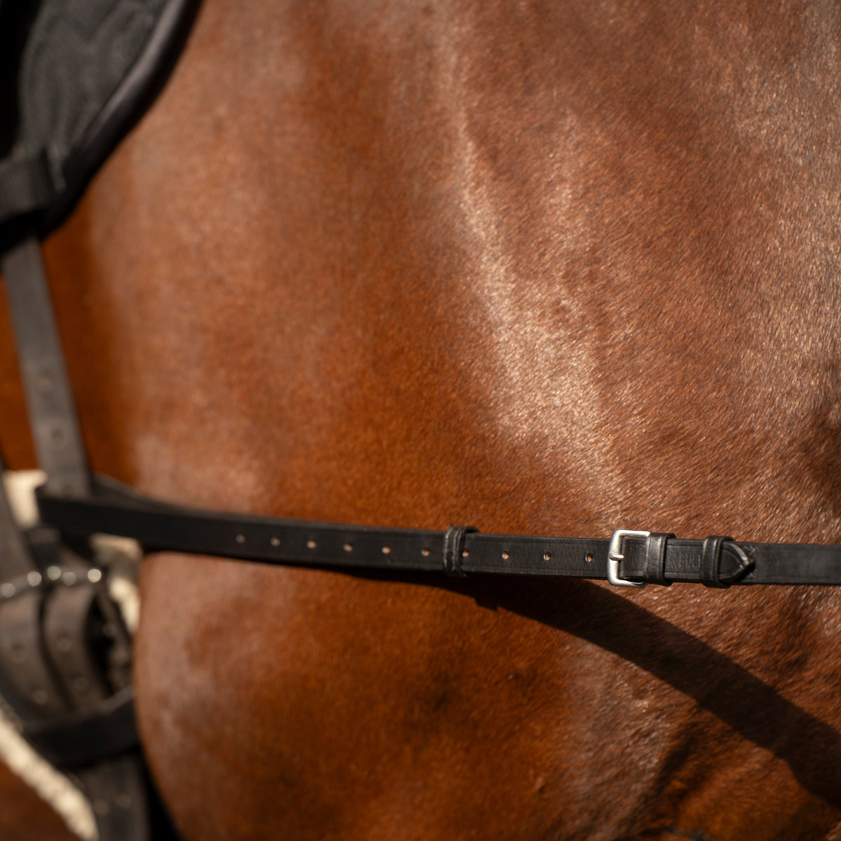 Side reins leather with elastic