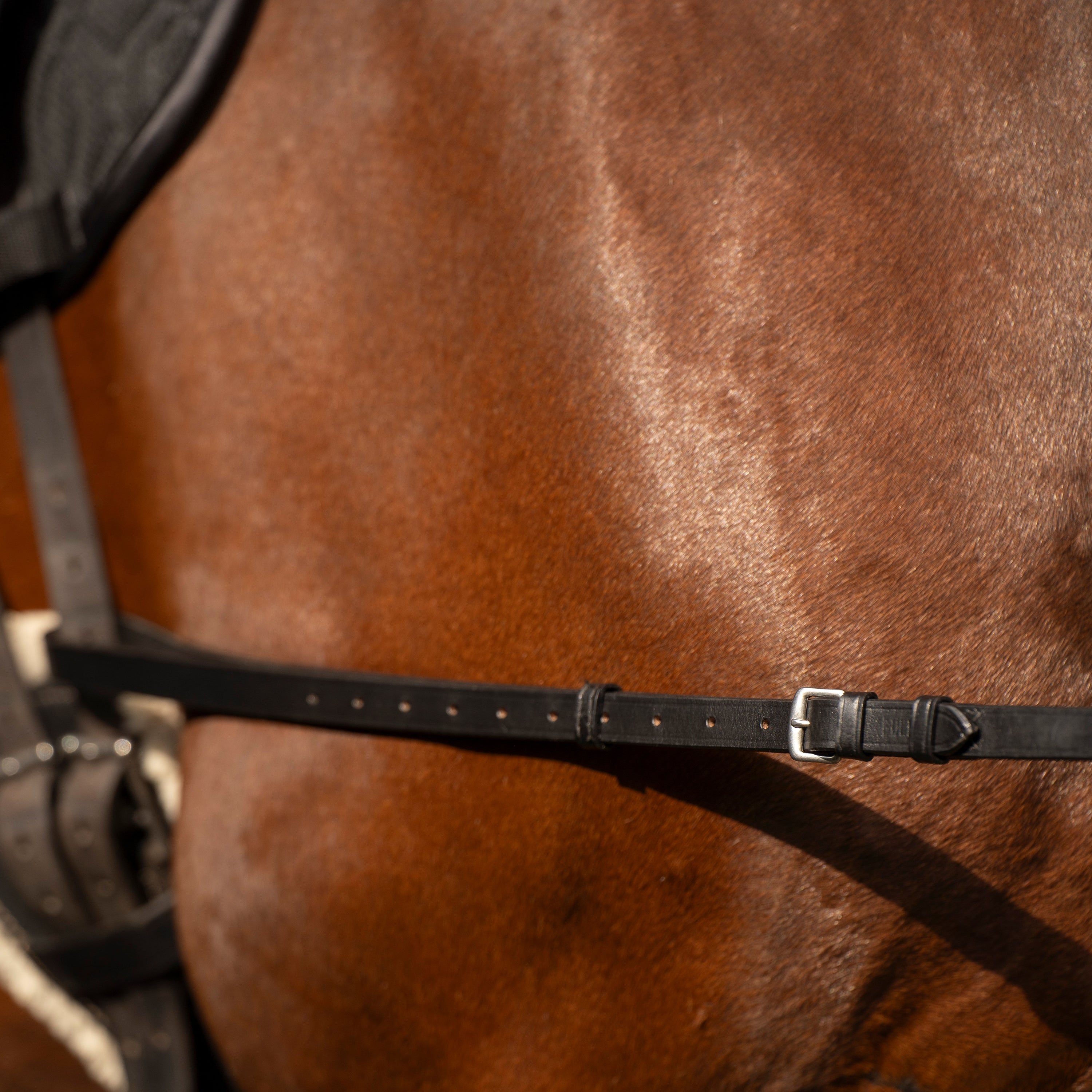 Side reins leather with elastic