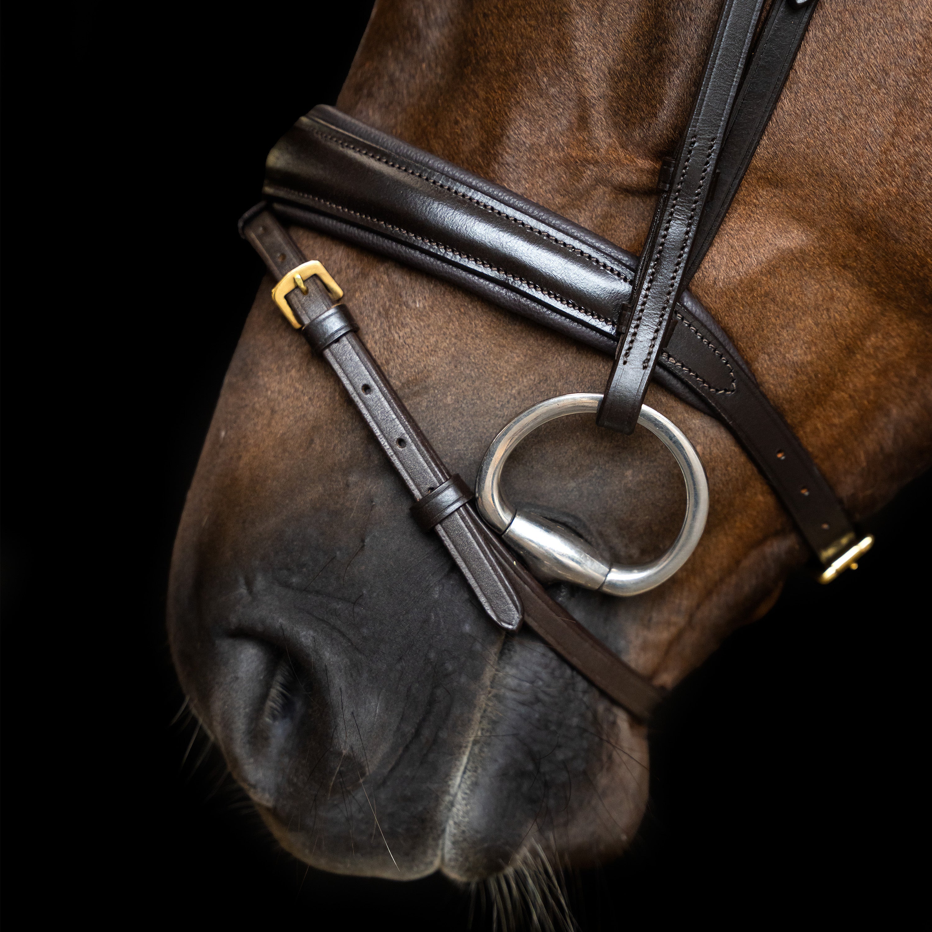 Bridle IRH combined noseband simple