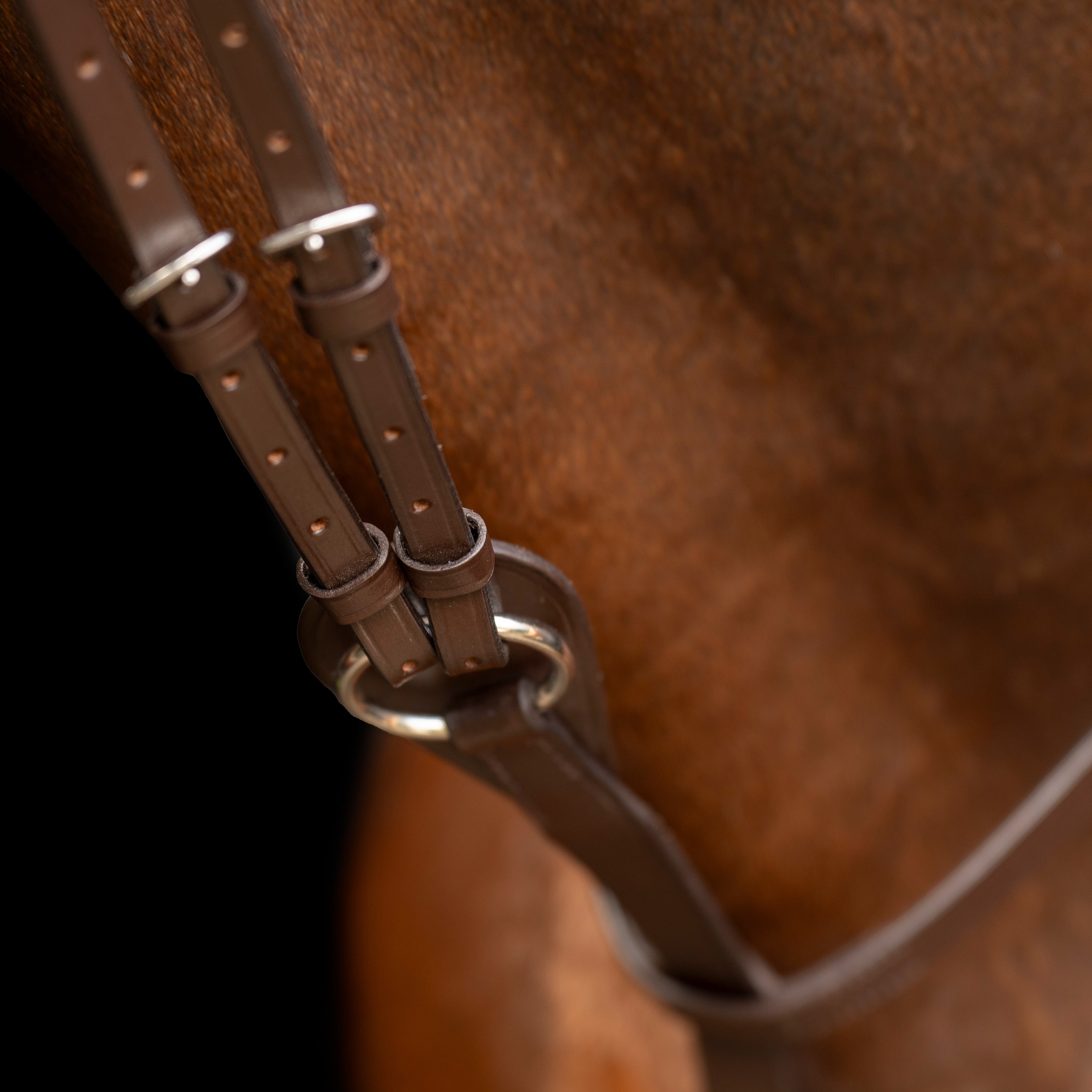 Martingale IRHCore