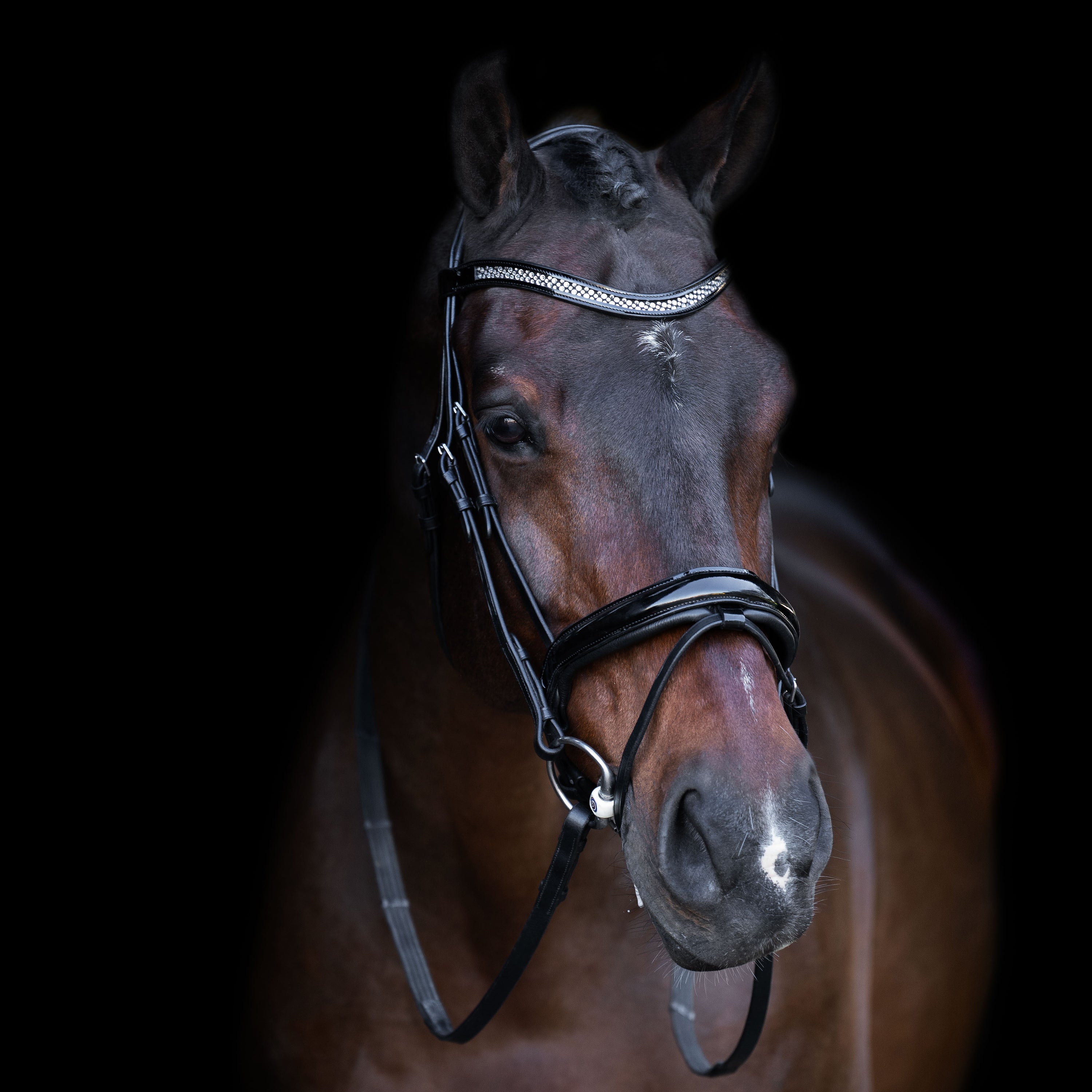 Snaffle bridle with English noseband IRH