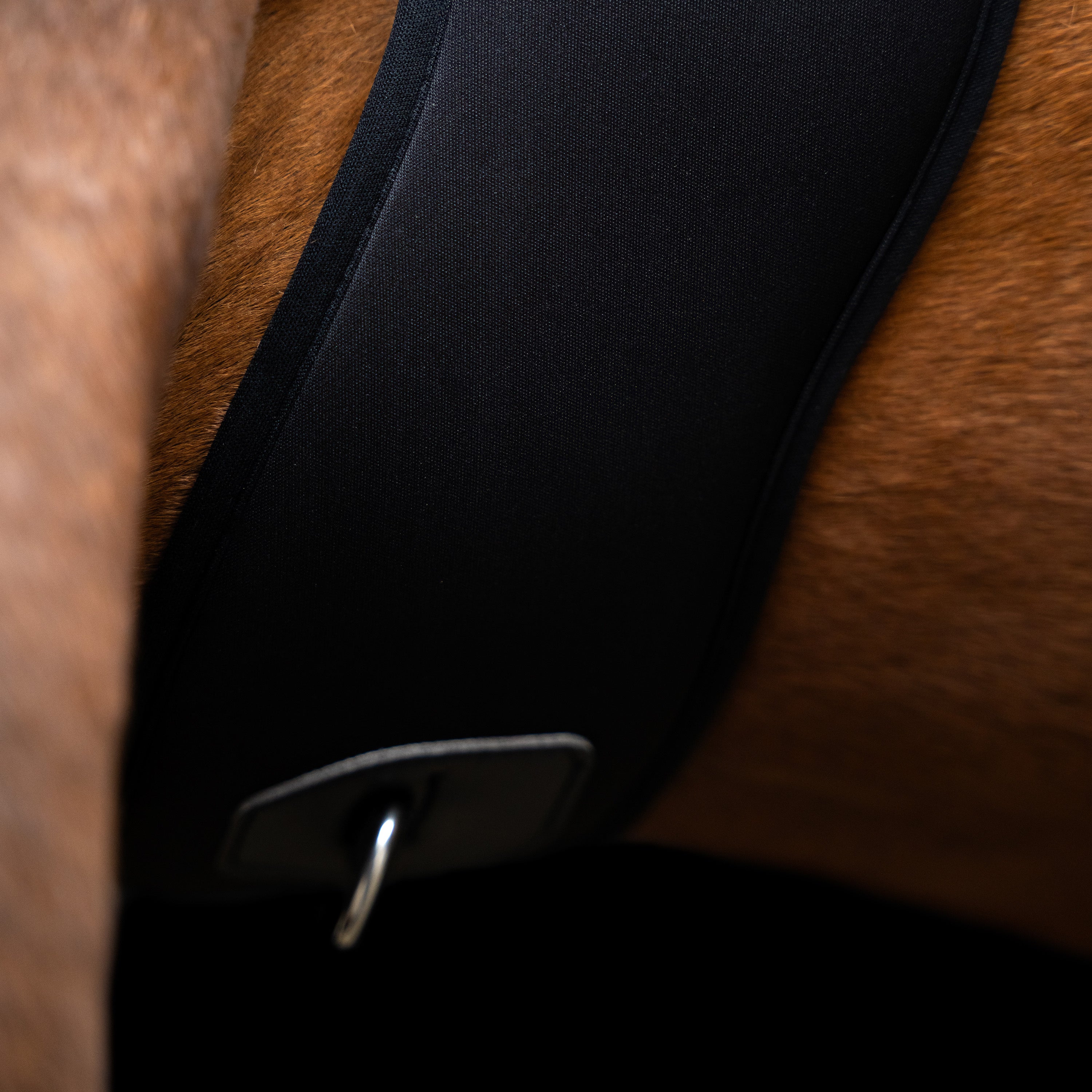 Jumping girth IRHBasic anatomic and neoprene