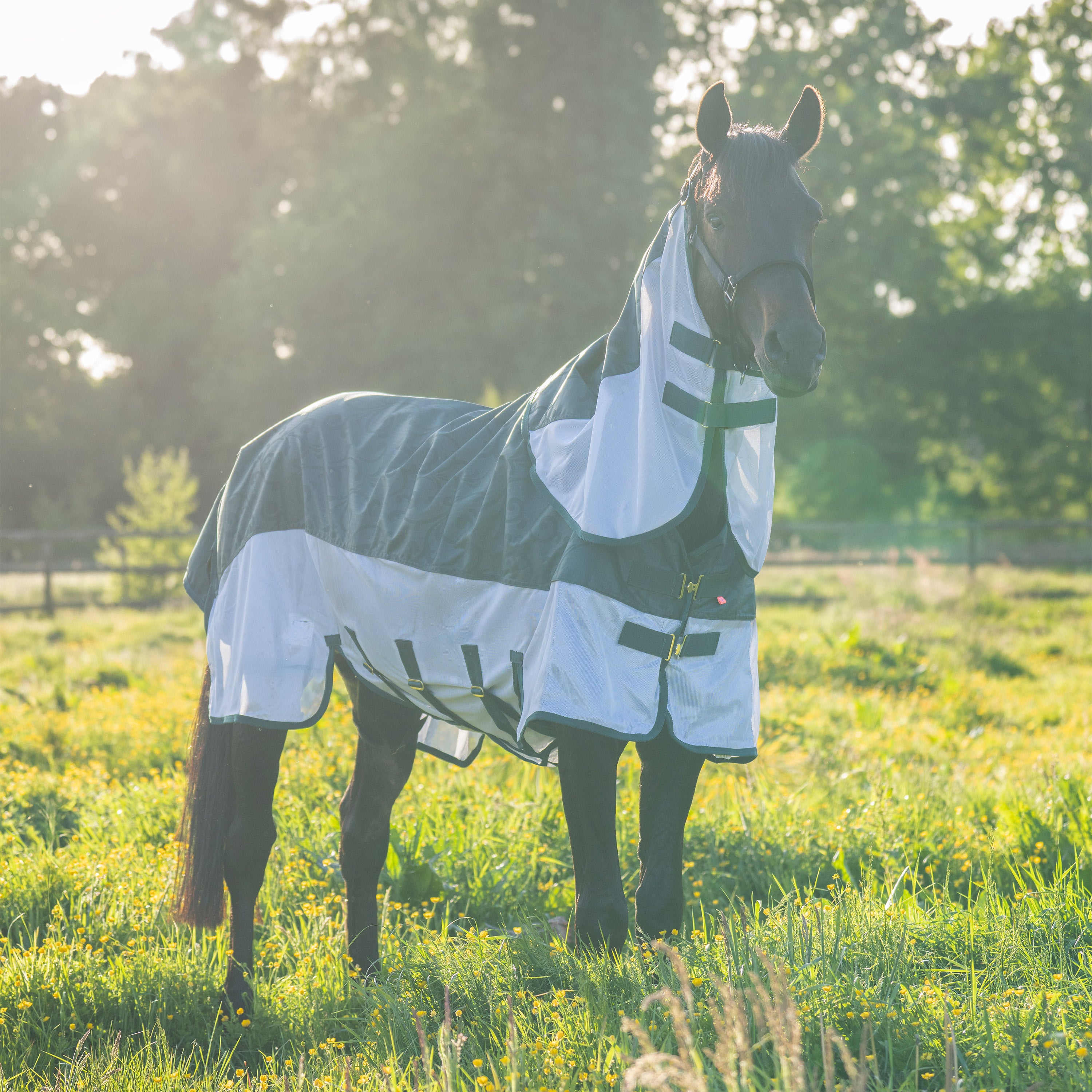 Rain & Fly blanket IRHSuper-dry