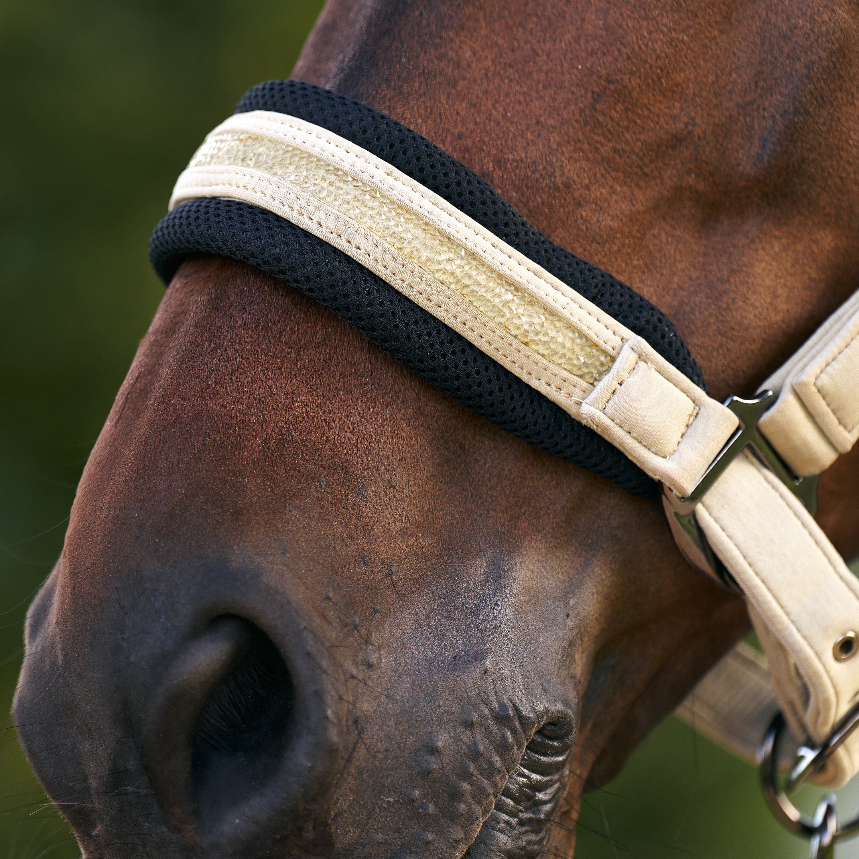 Headcollar IRHJewel Mesh
