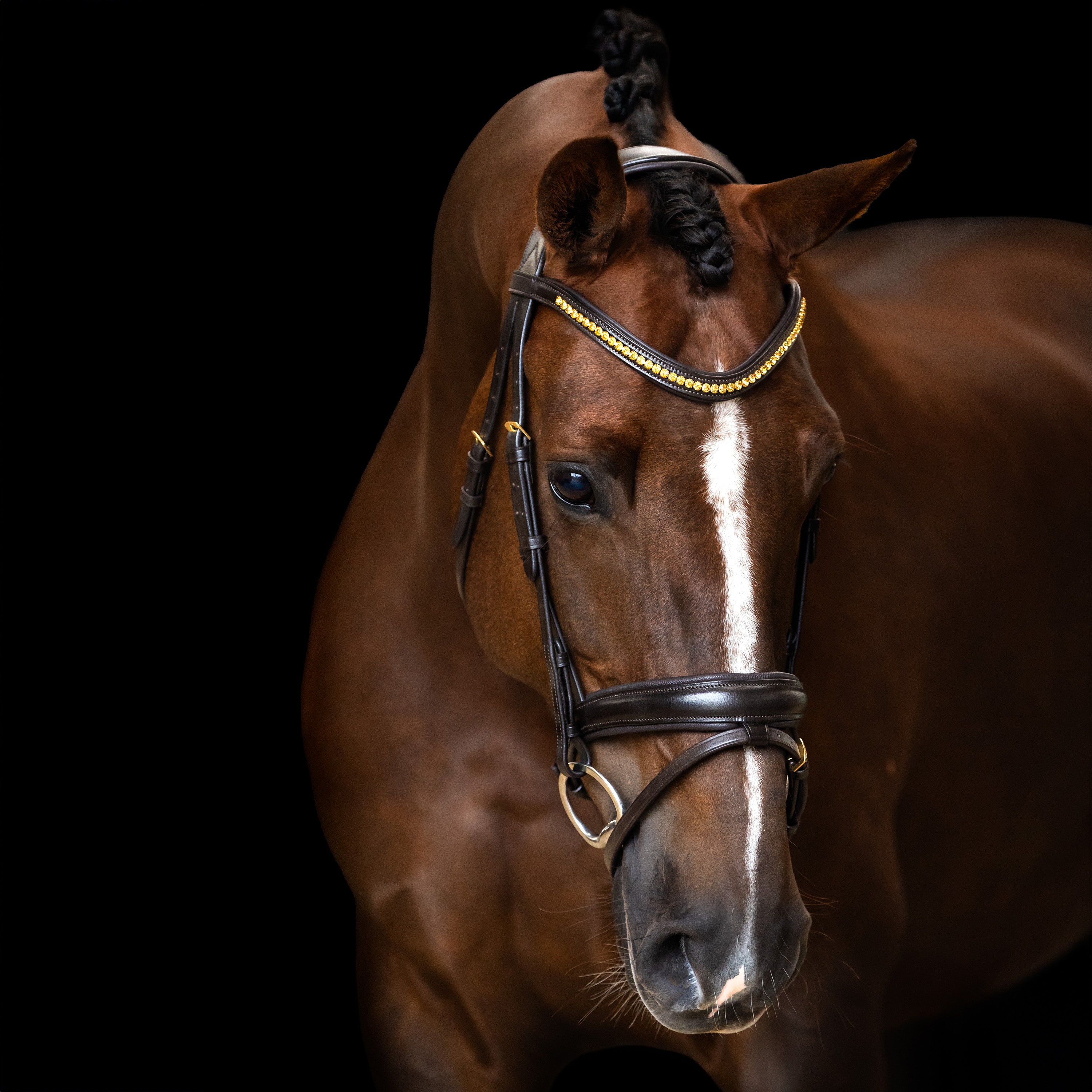 Bridle IRH combined noseband simple