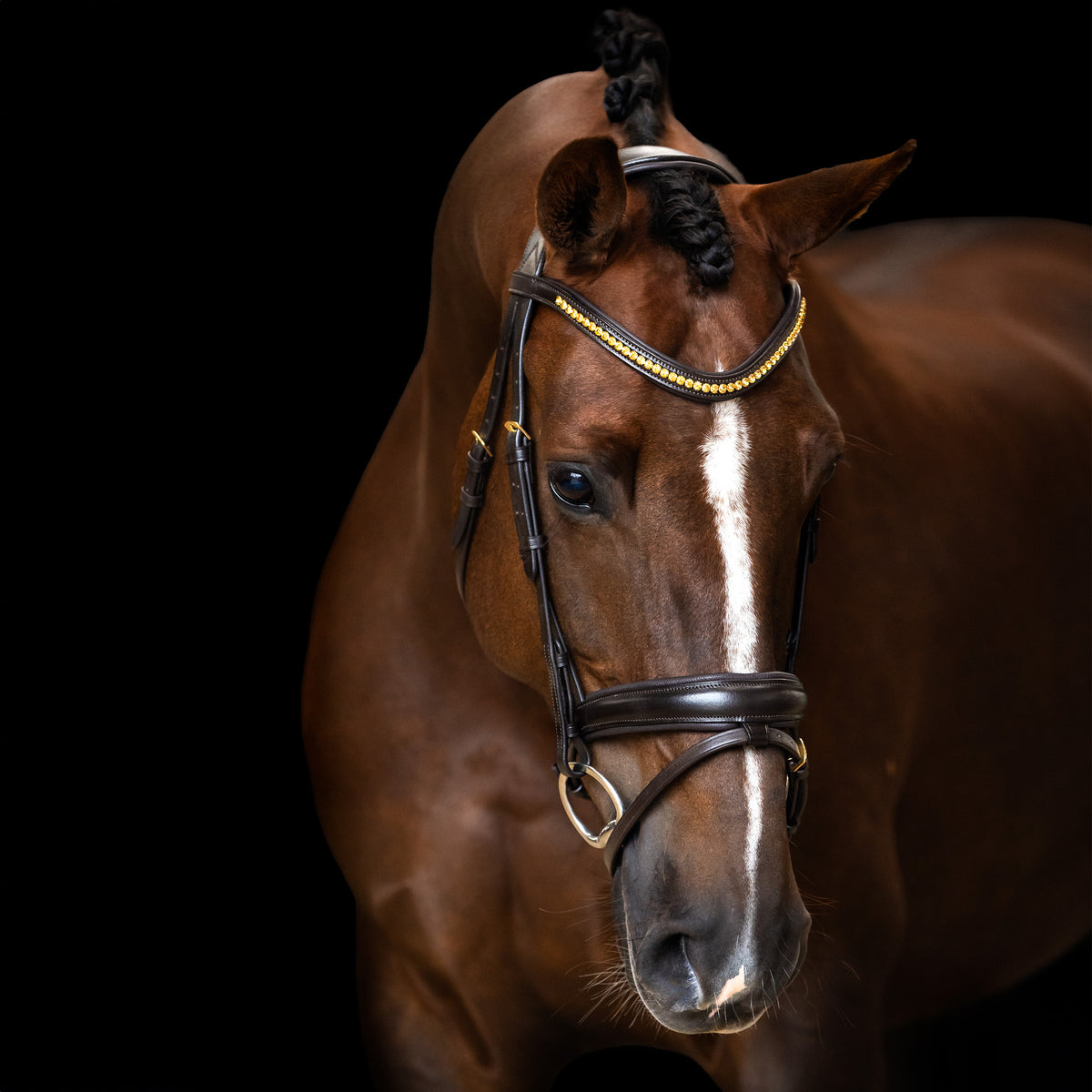 Bridle IRH combined noseband simple
