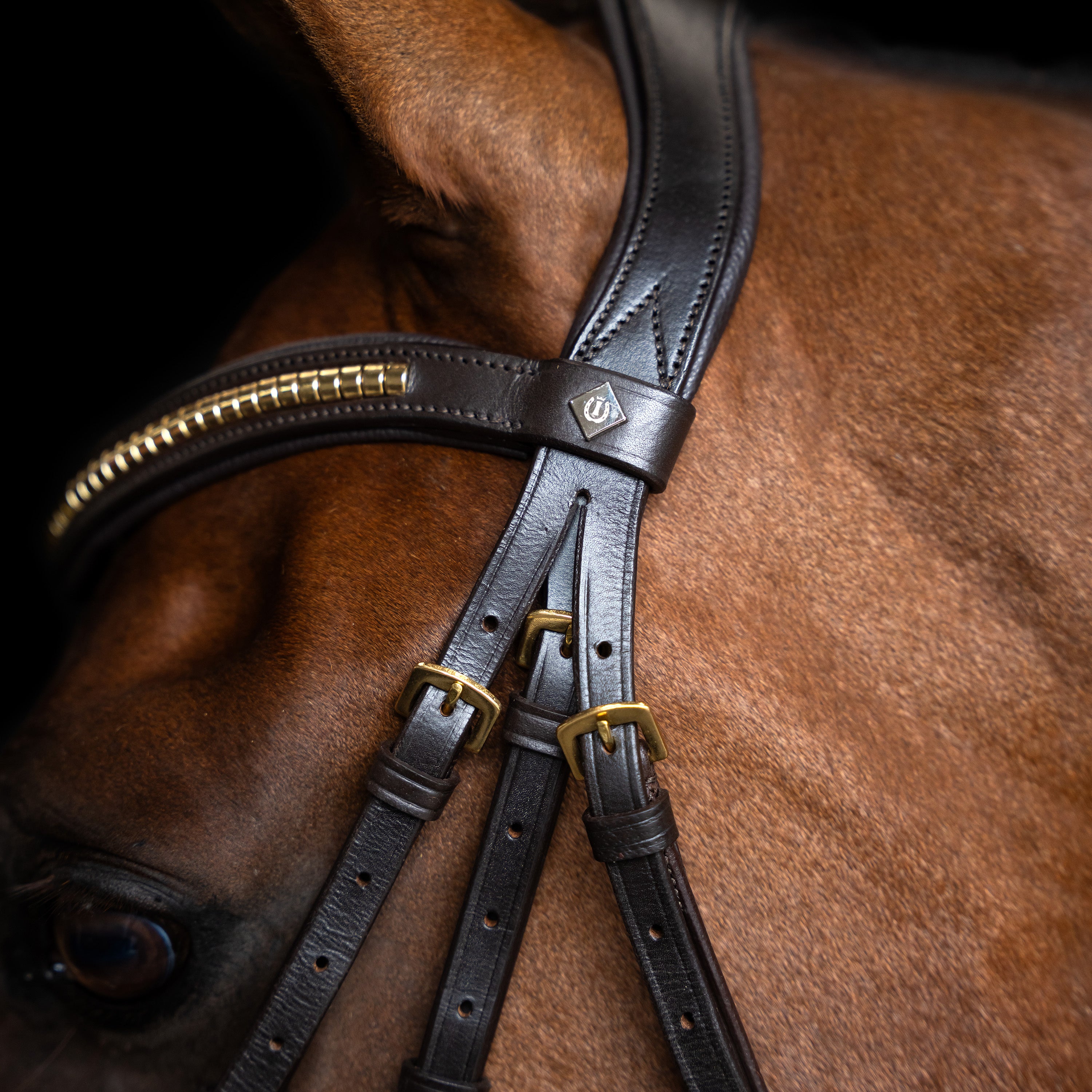 Bridle Mexican IRH