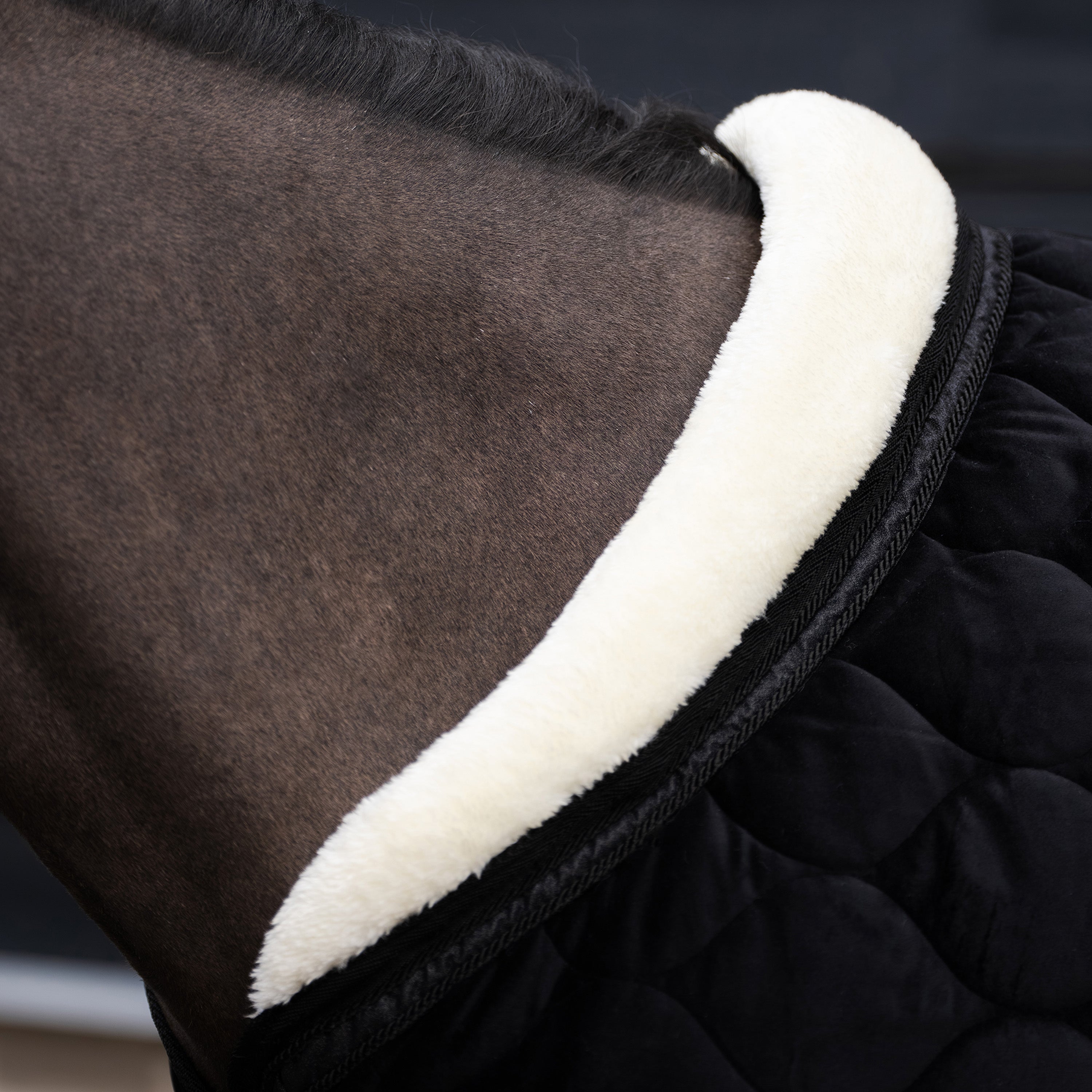 Show blanket IRHBandit