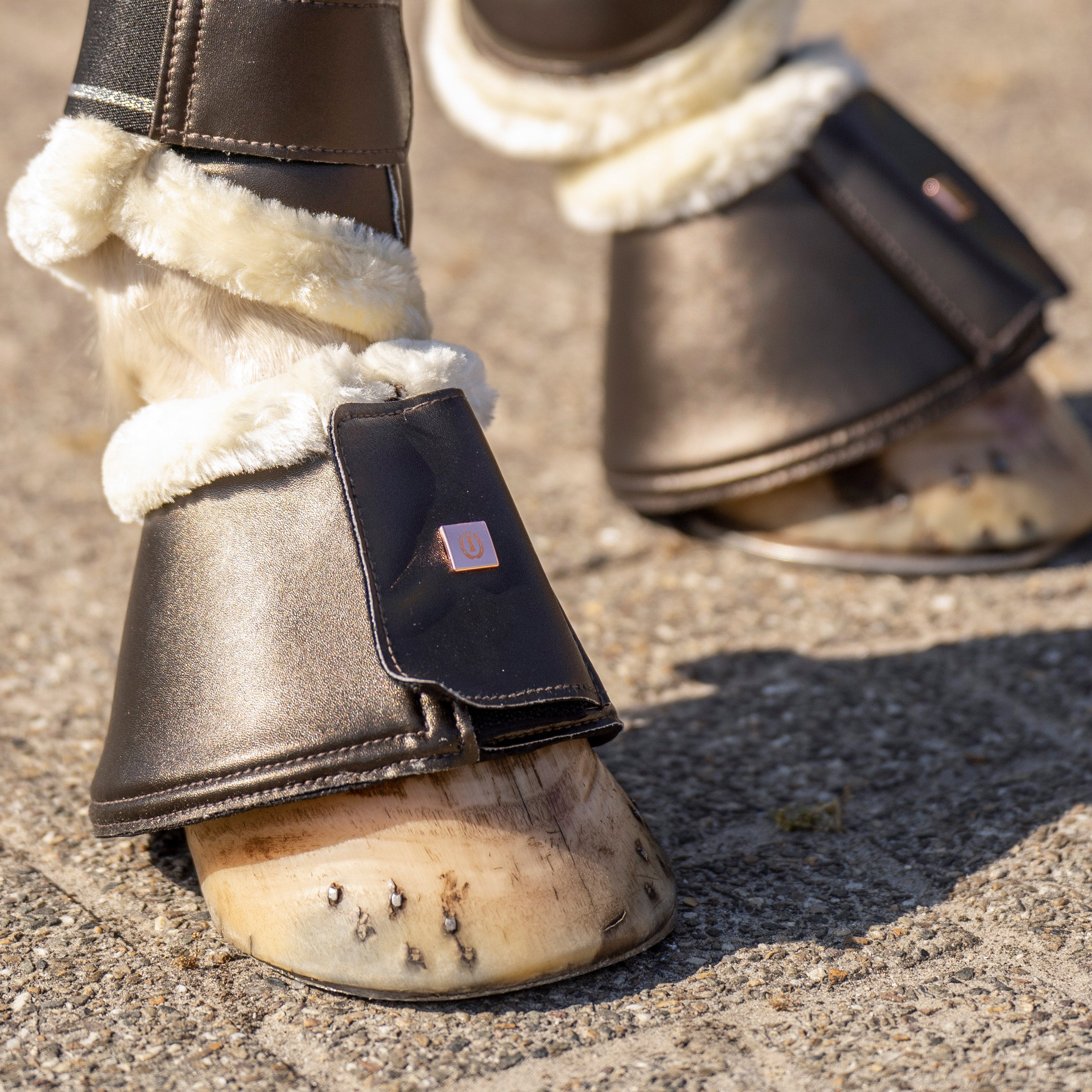 Bellboots IRHLovely