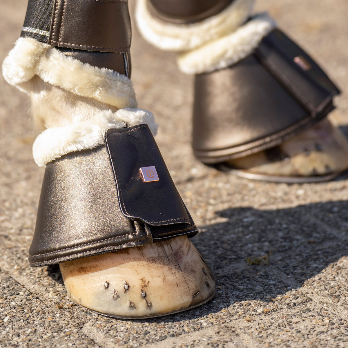 Bellboots IRHLovely