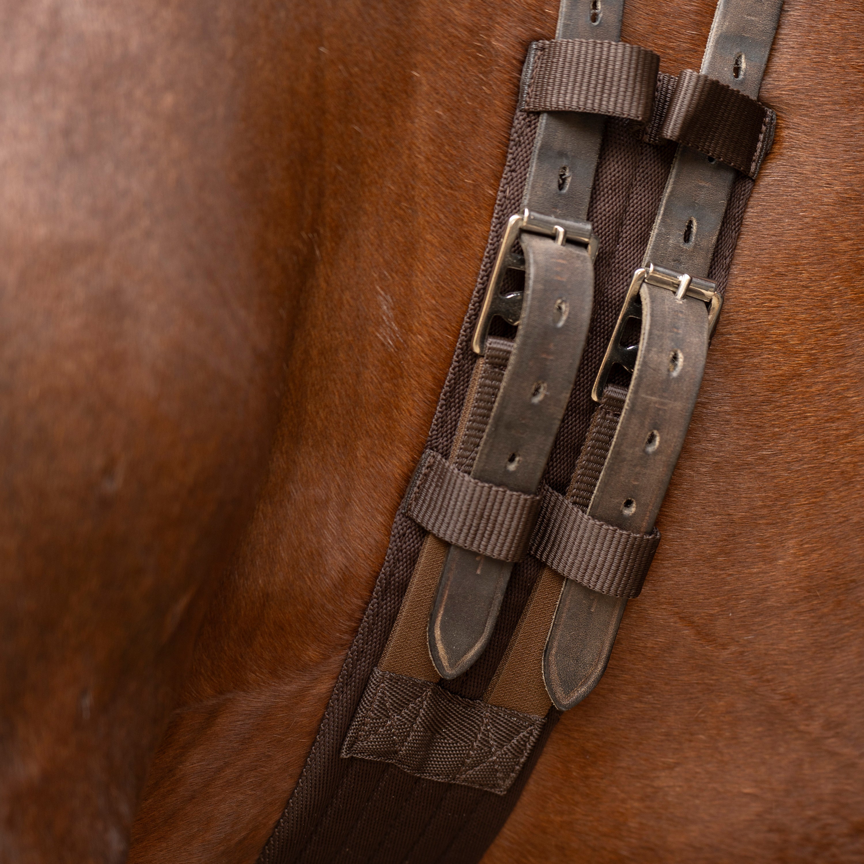 Dressage girth IRHCore