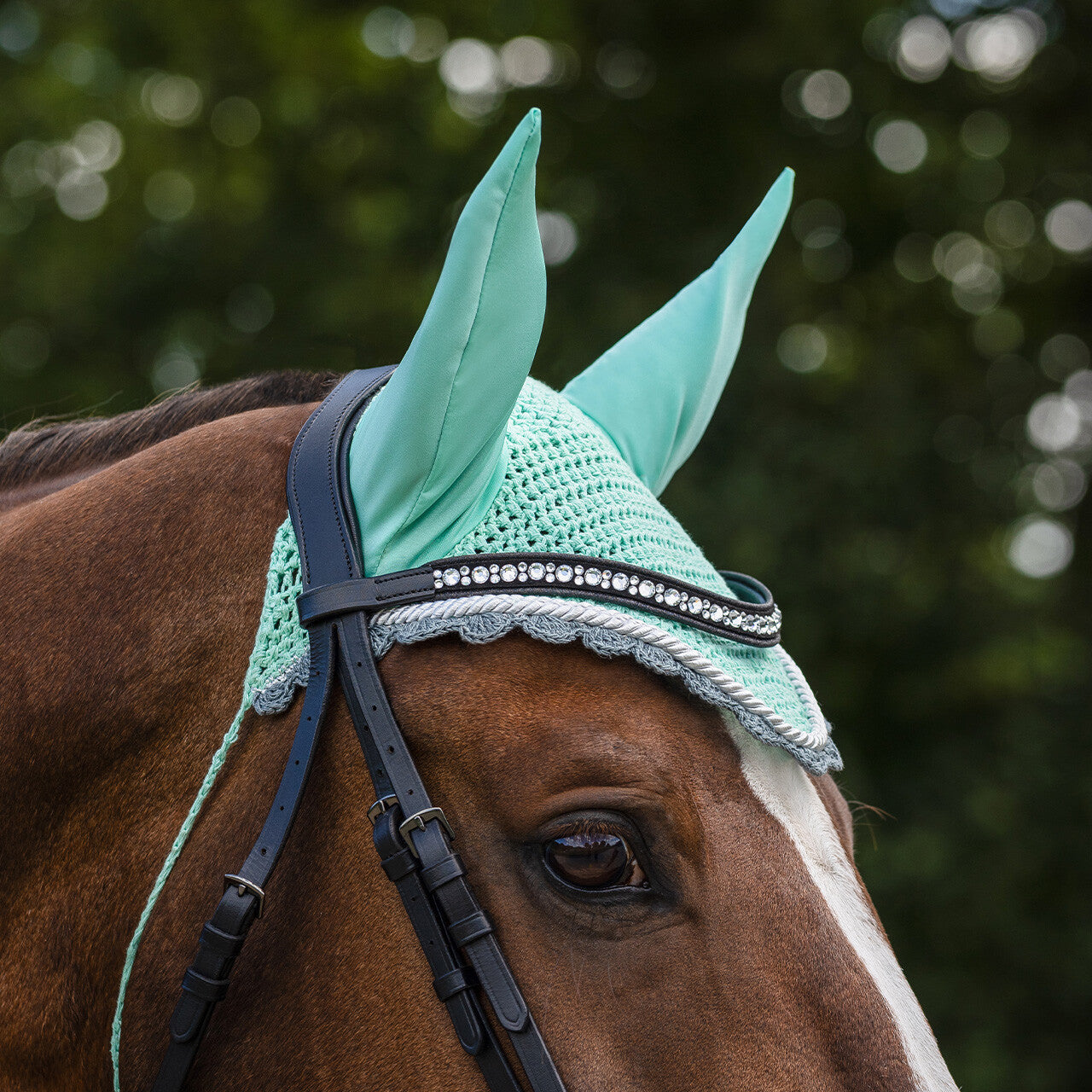 Ear hat Color