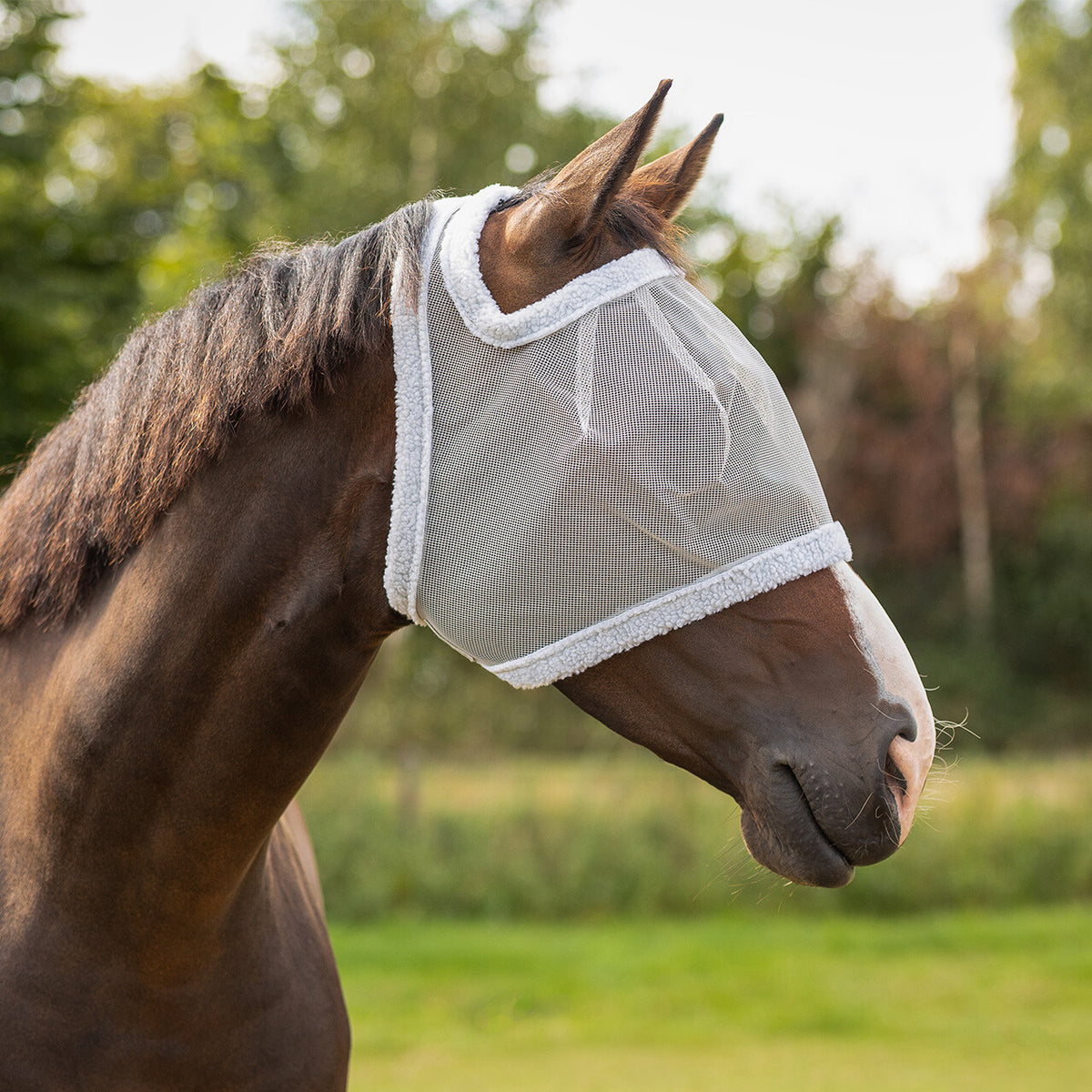 Fly mask without ear protection