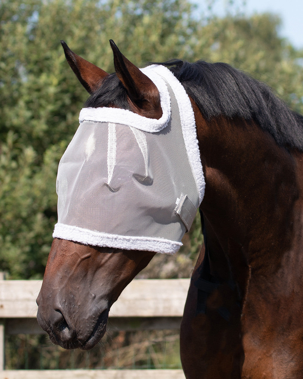 fly mask without ear protection