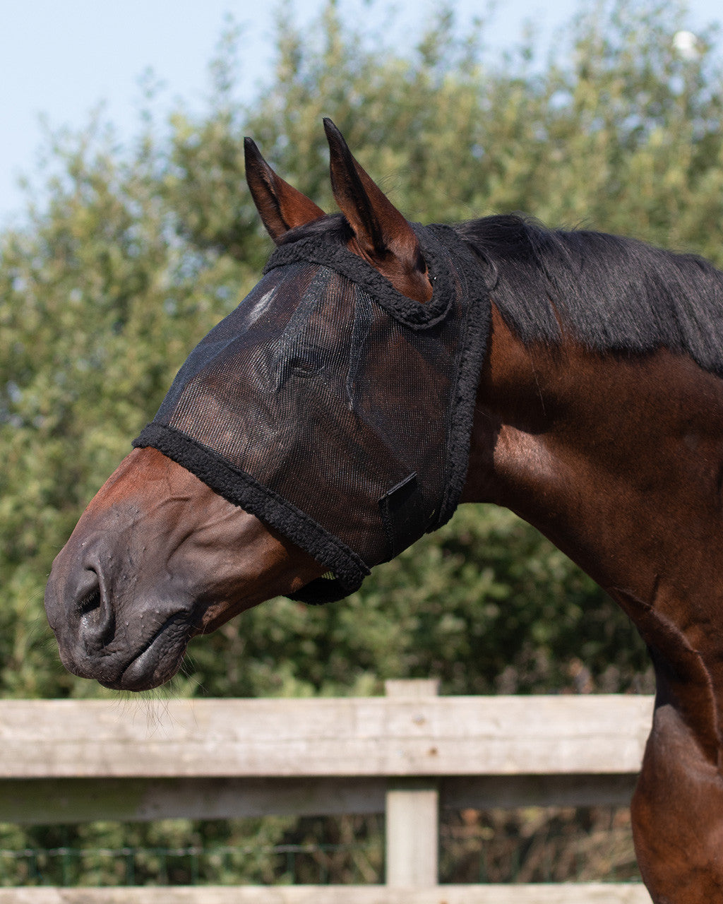 Fly mask without ear protection