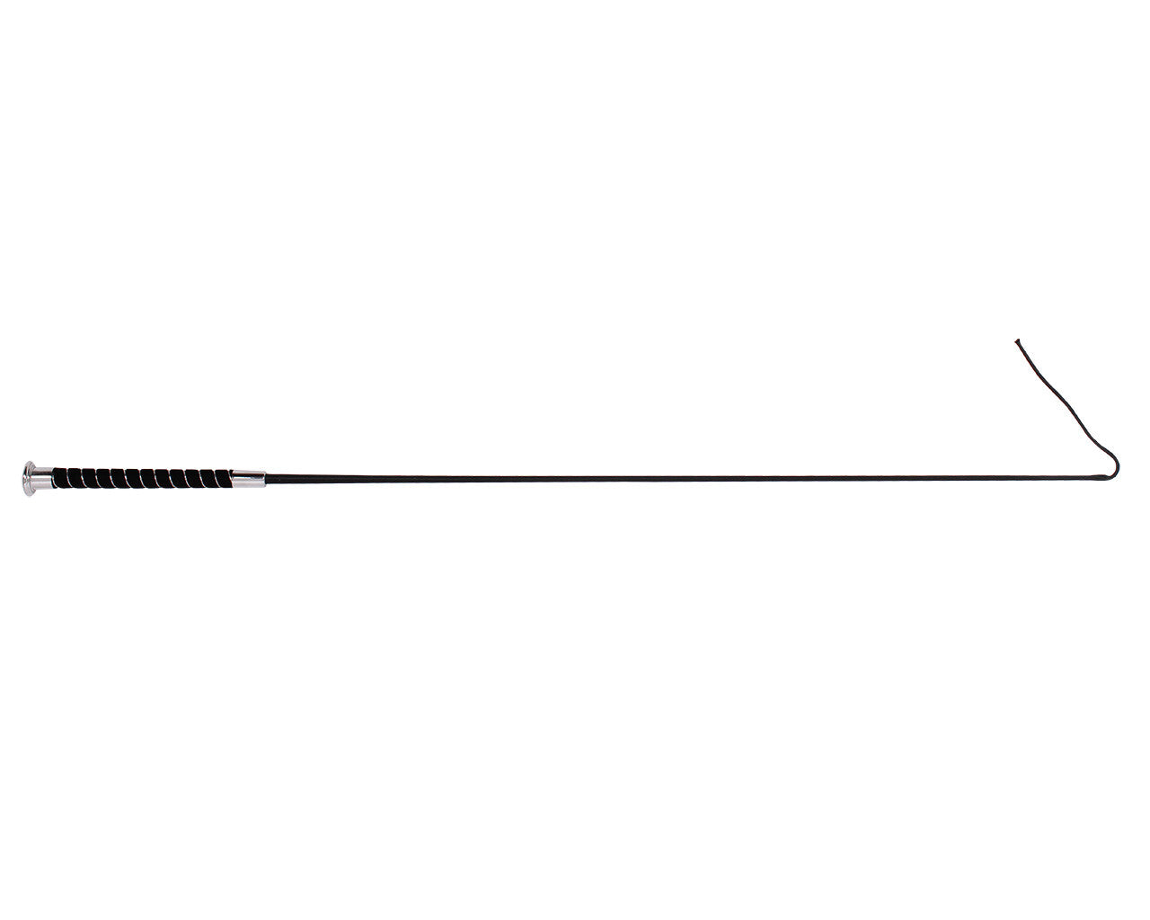 dressage whip elegant