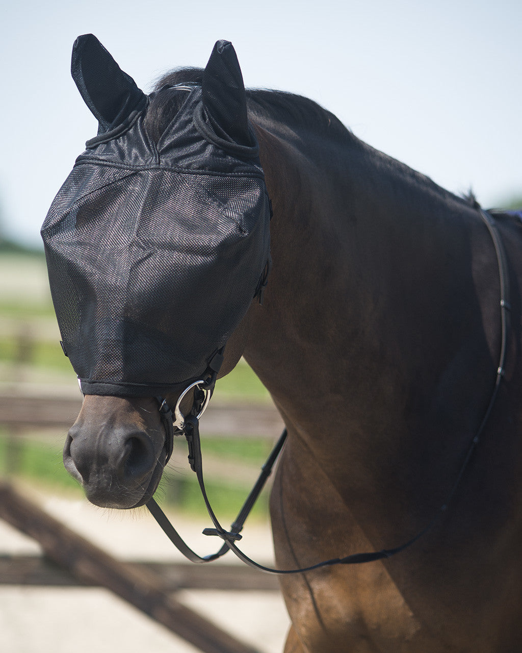 Riding fly mask with ear protection