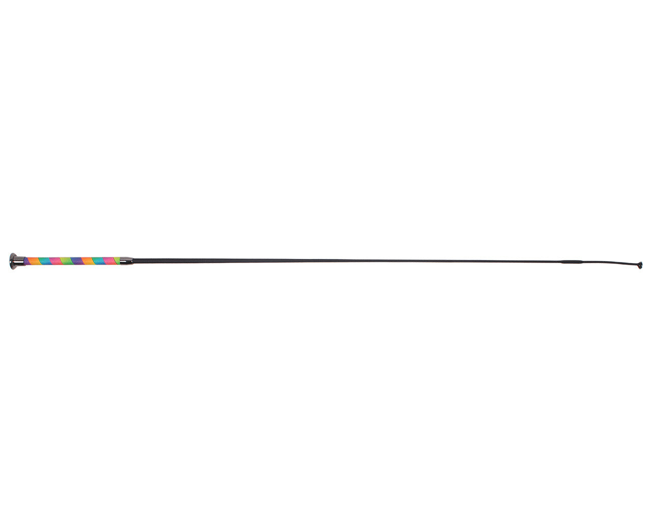 dressage whip ombre