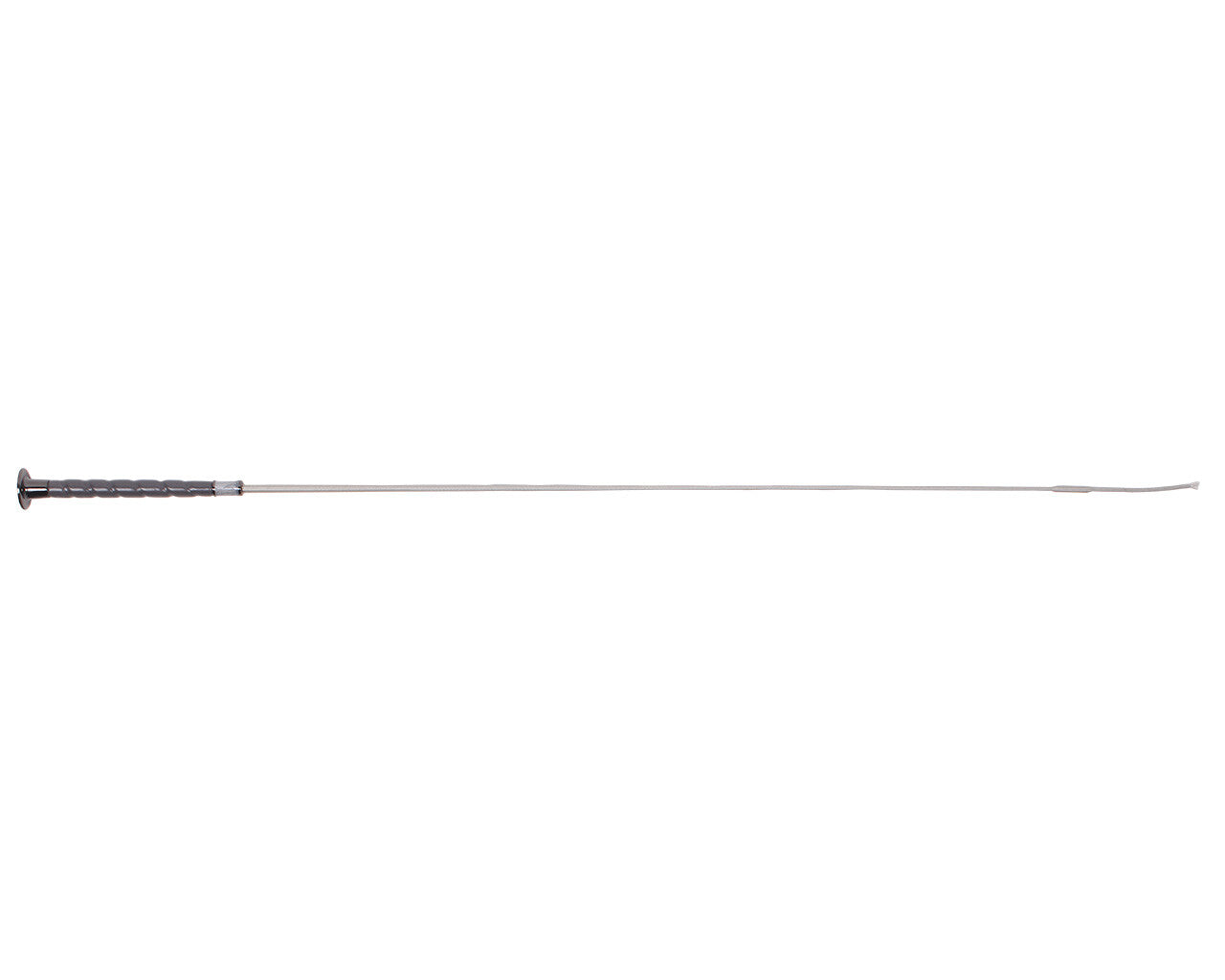 dressage whip dashing