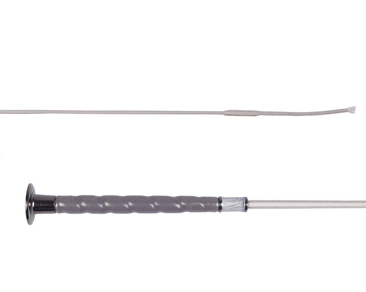 dressage whip dashing