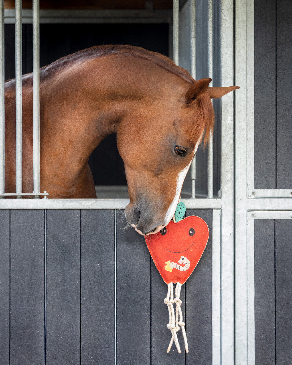 Horse toy