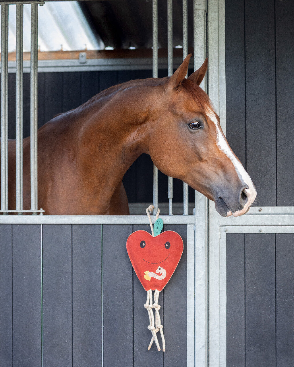 Horse toy