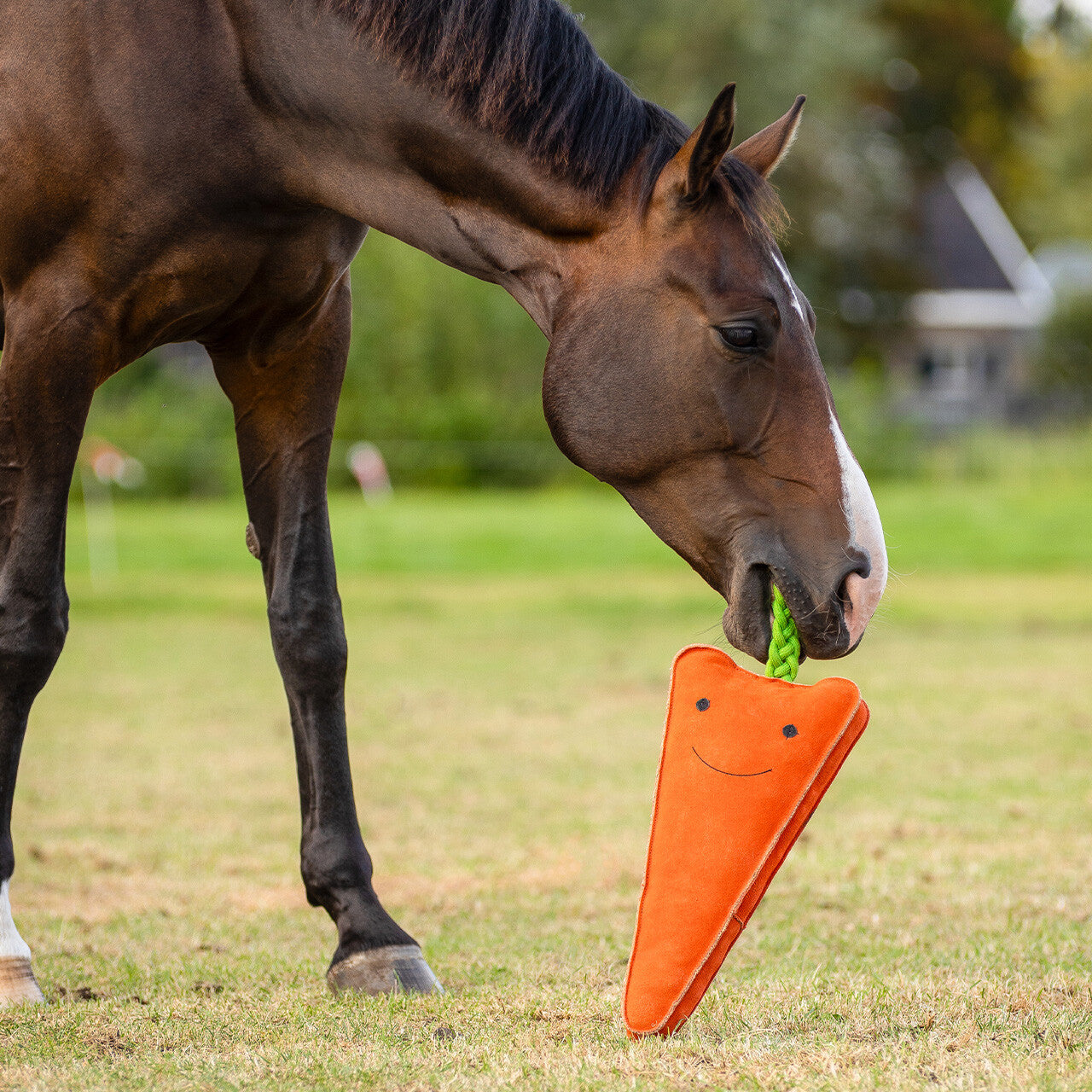 Horse toy XL