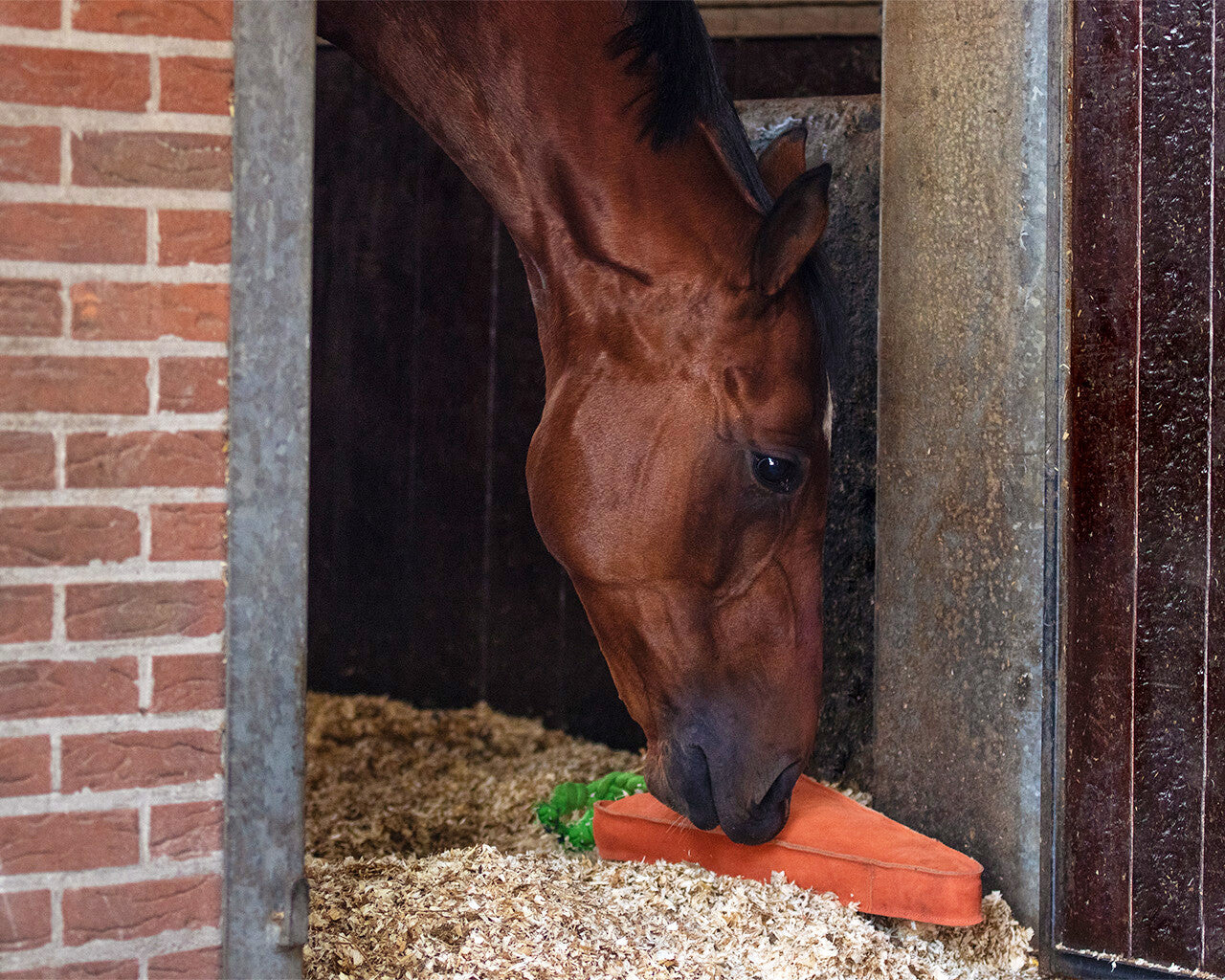 Horse toy XL