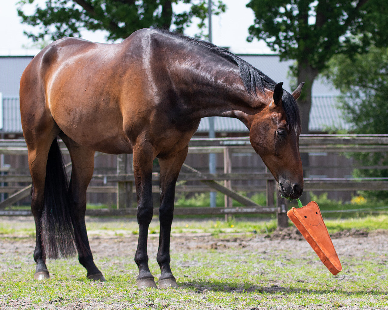 Horse toy XL