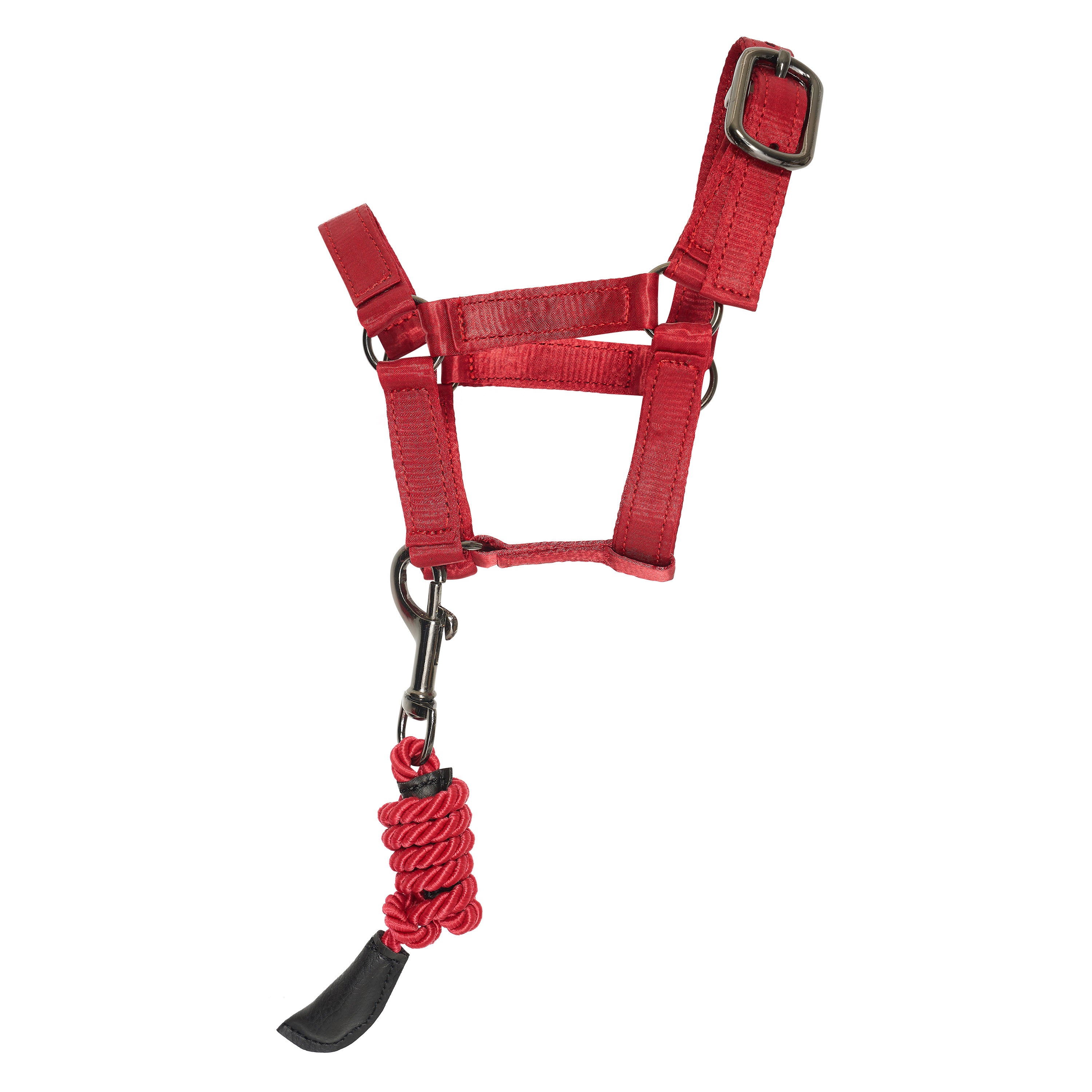 Toy set stable IRHPetit