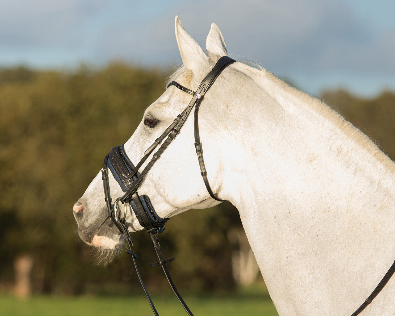 noseband pad metallic glitz
