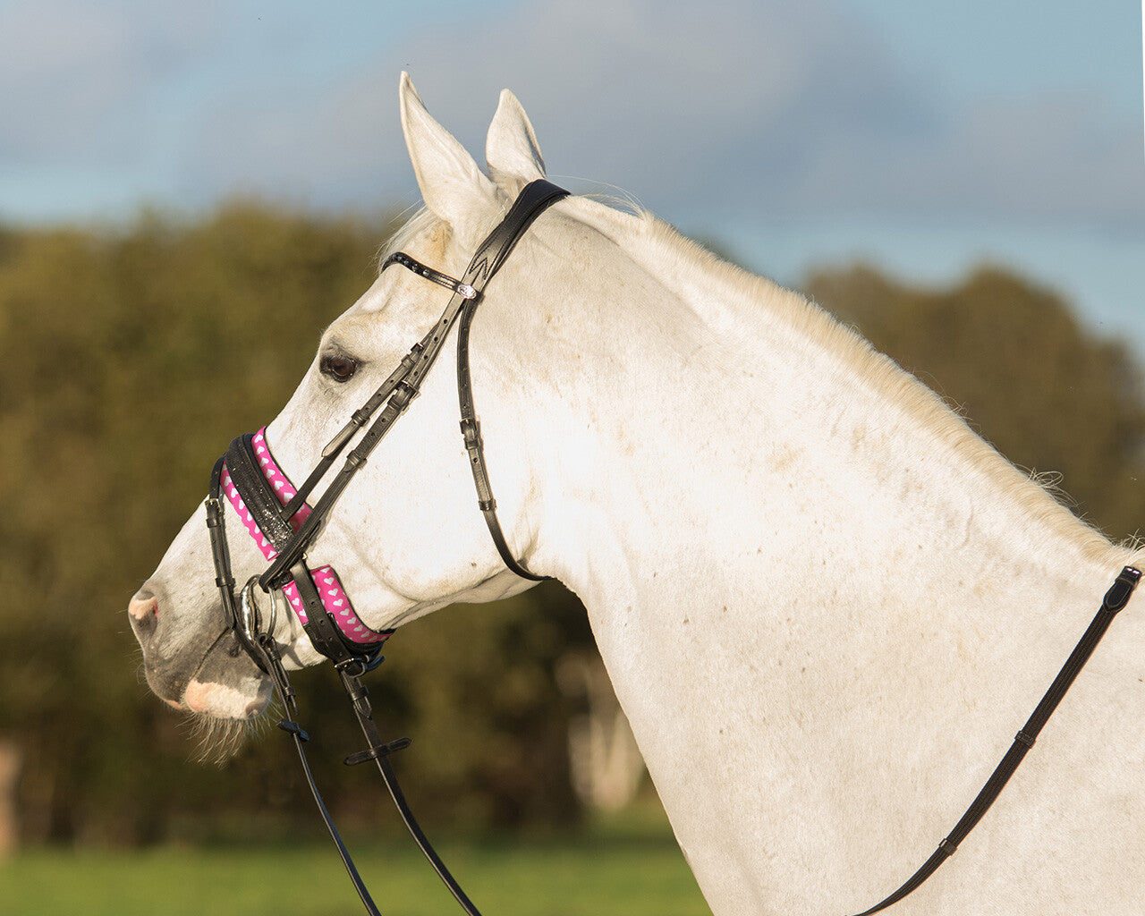noseband pad