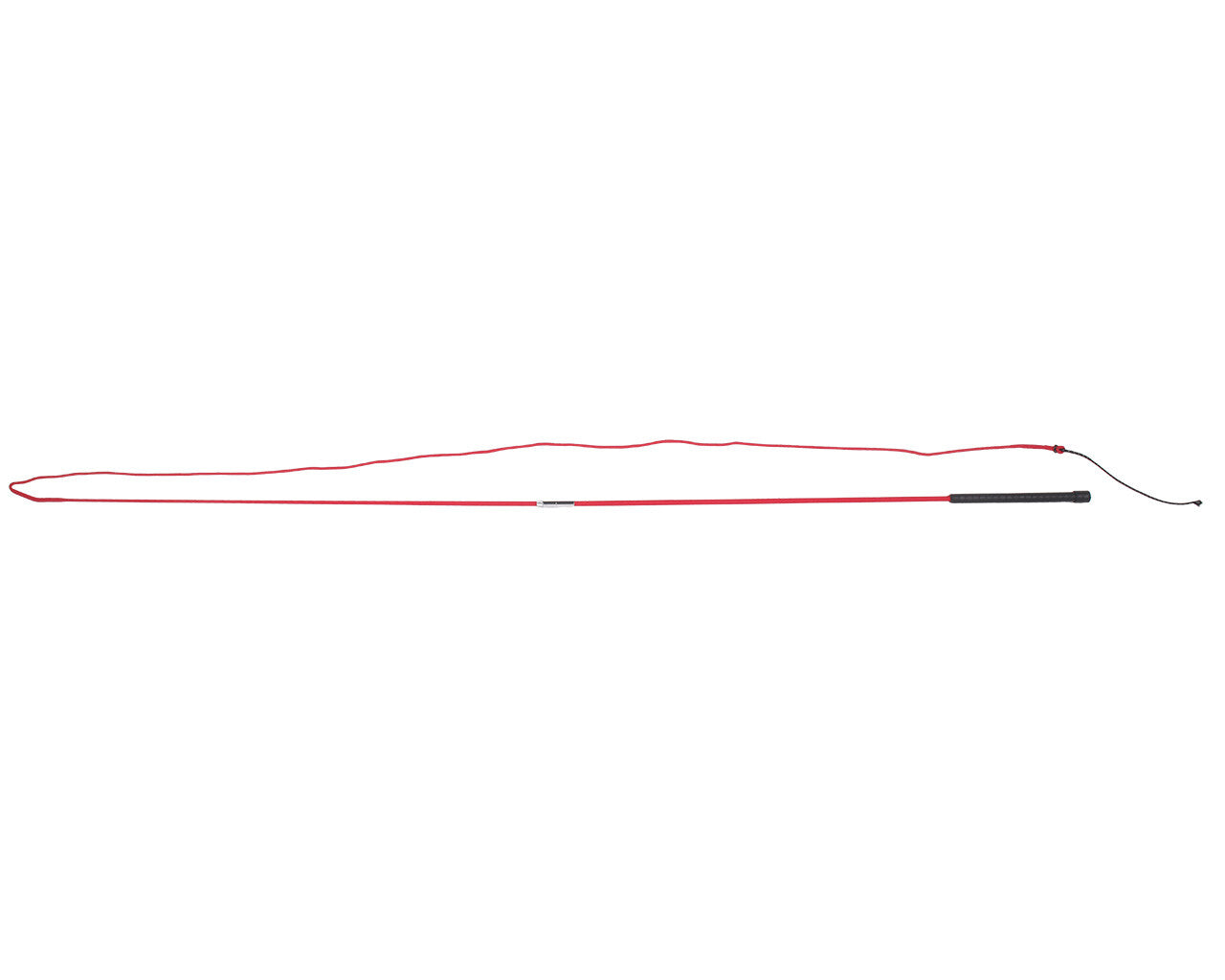 Lunging whip divisible