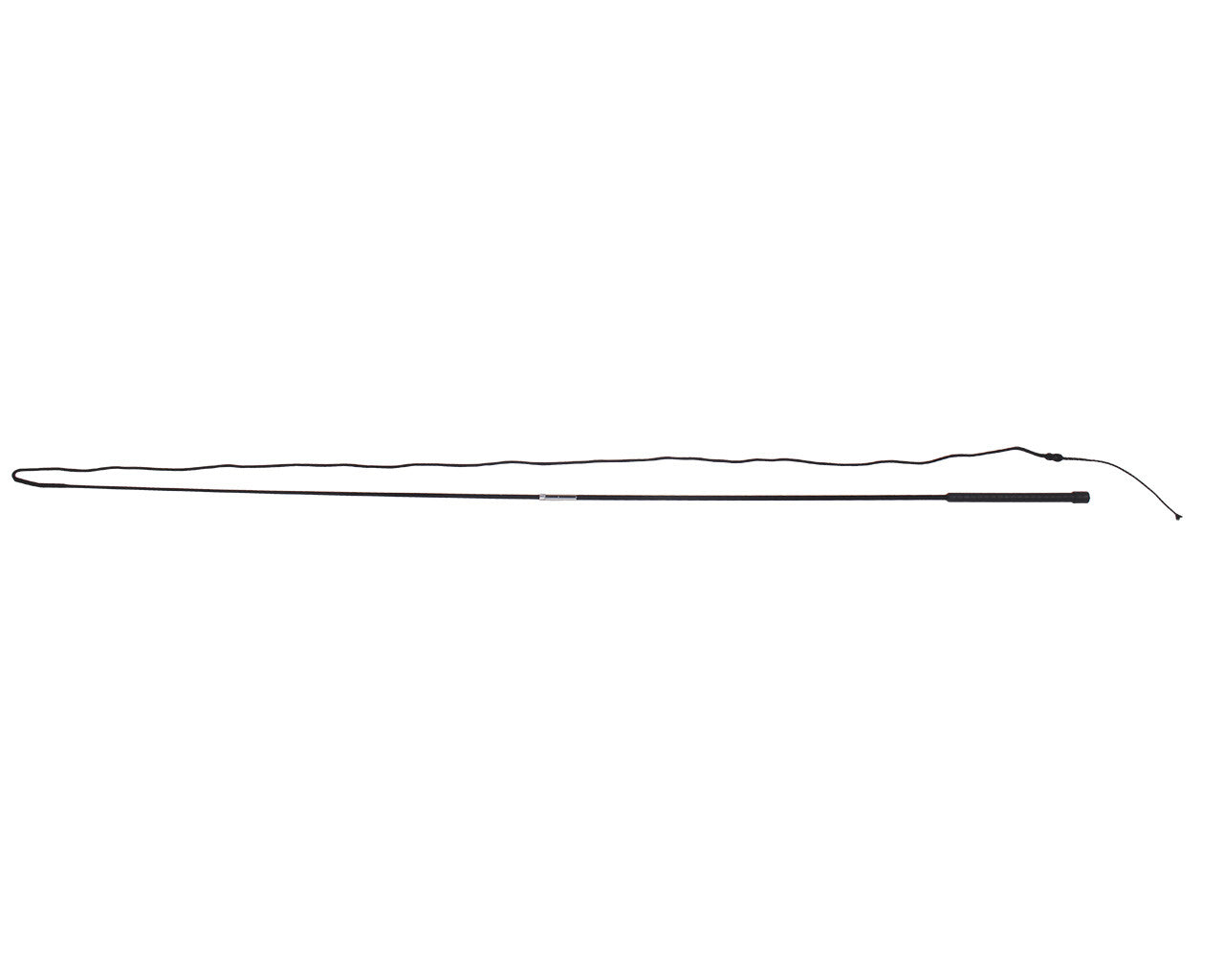 Lunging whip divisible