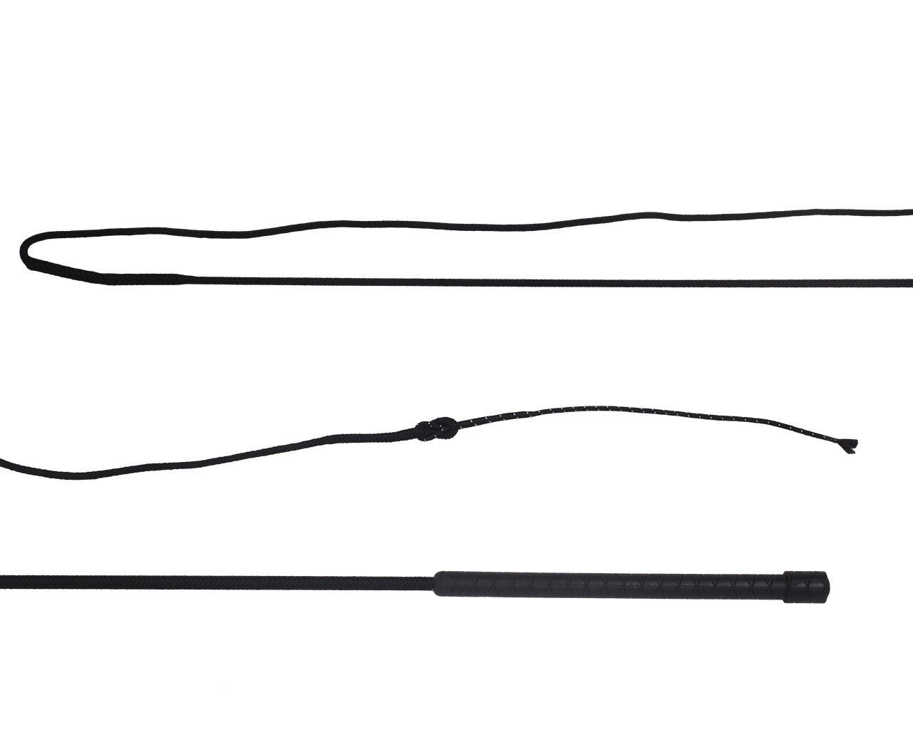 Lunging whip divisible