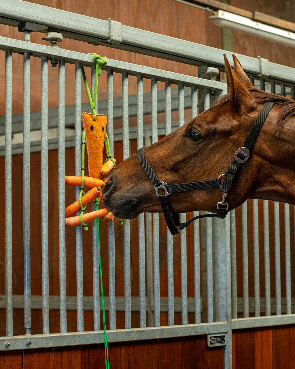 Horse toy with hay net