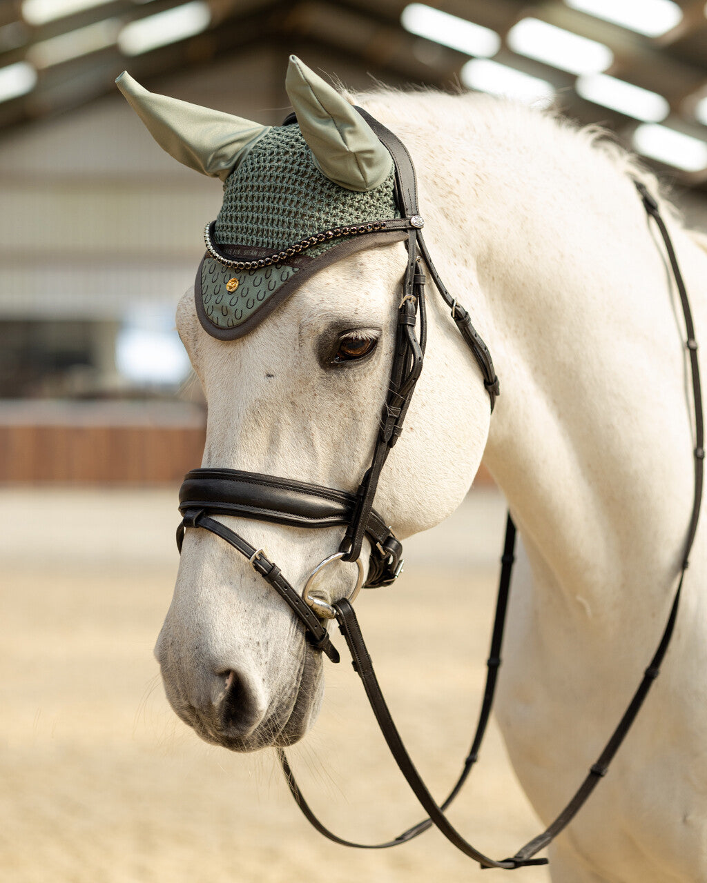 ear net equestrian dream