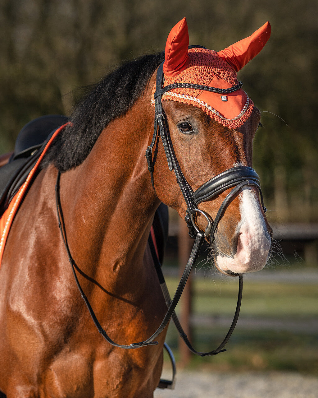 ear net menton
