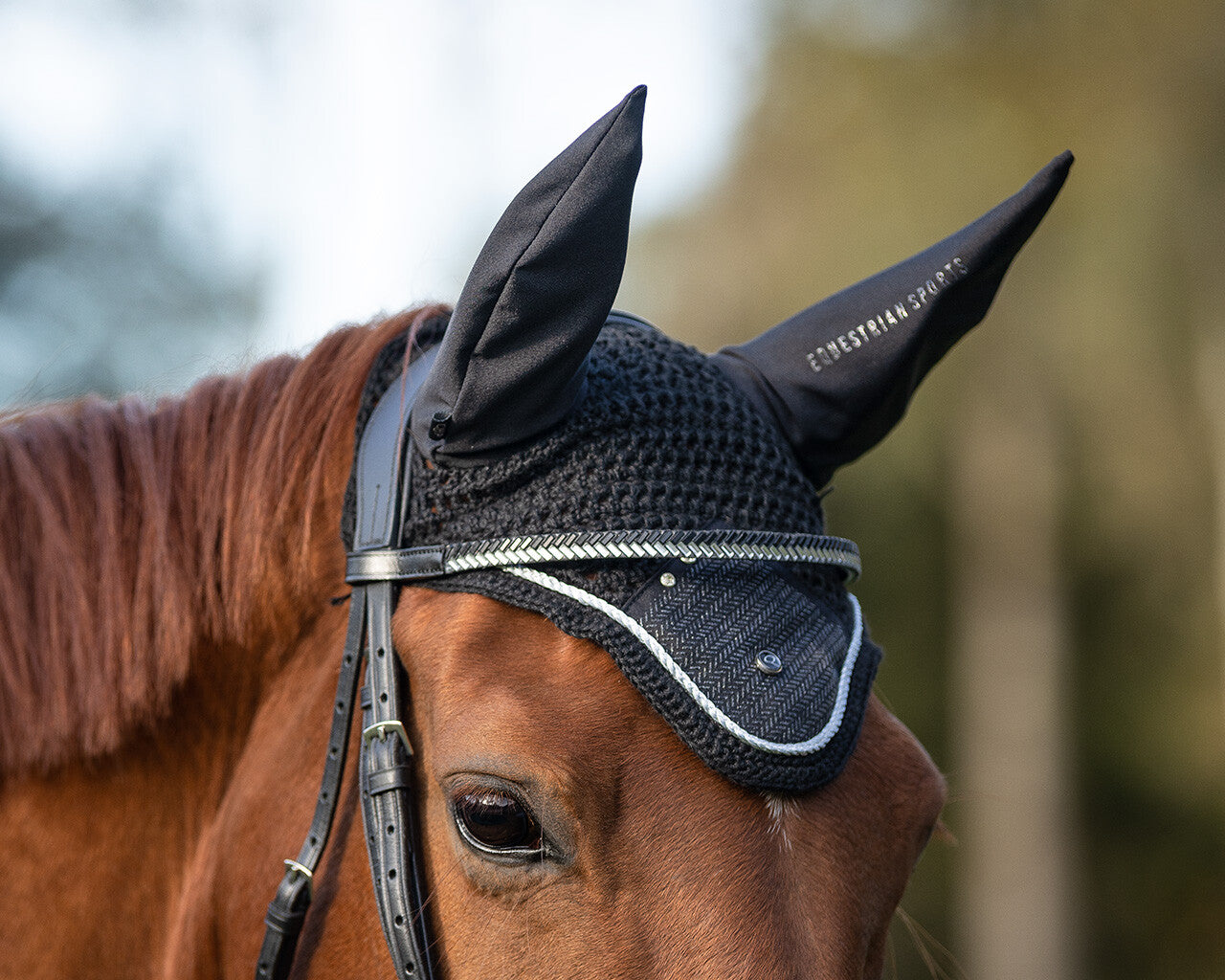 ear net kae