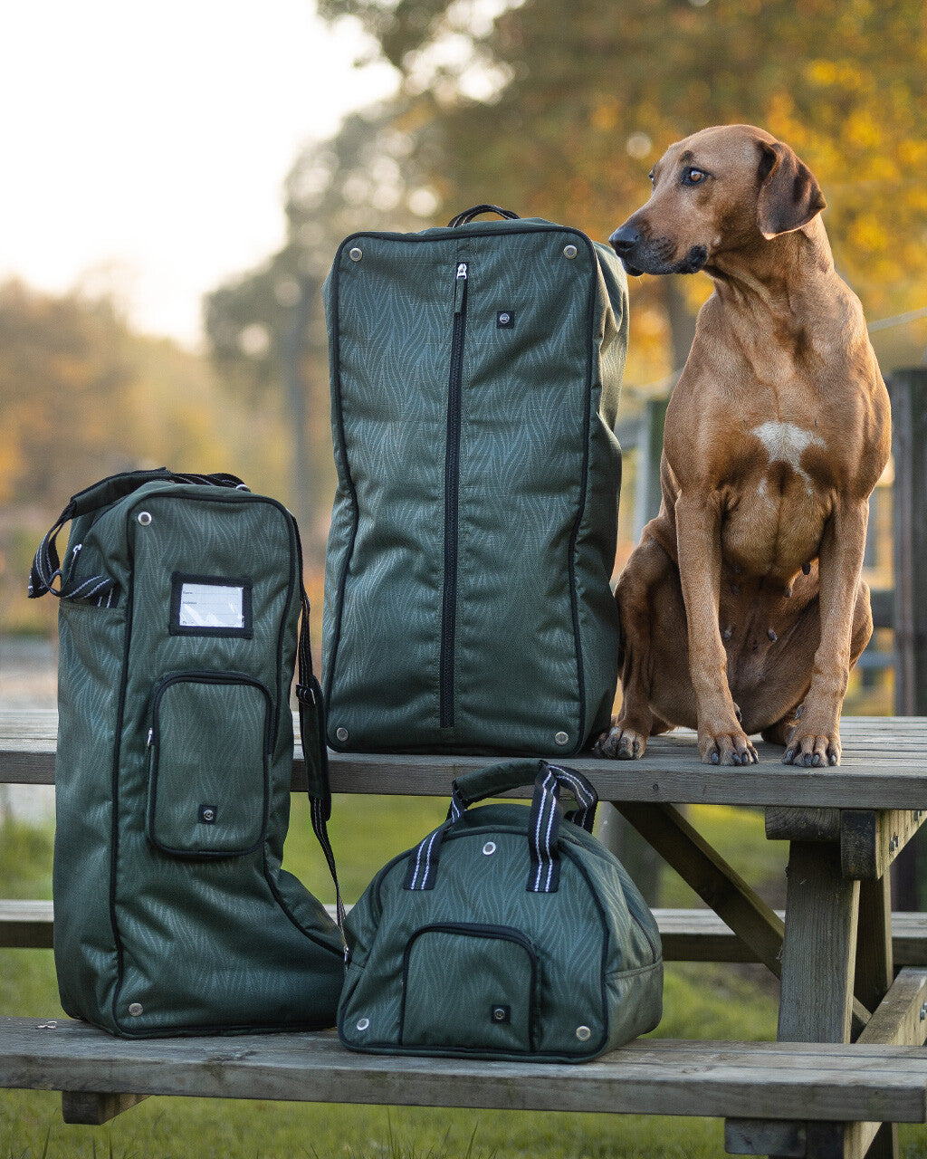 safety helmet bag collection
