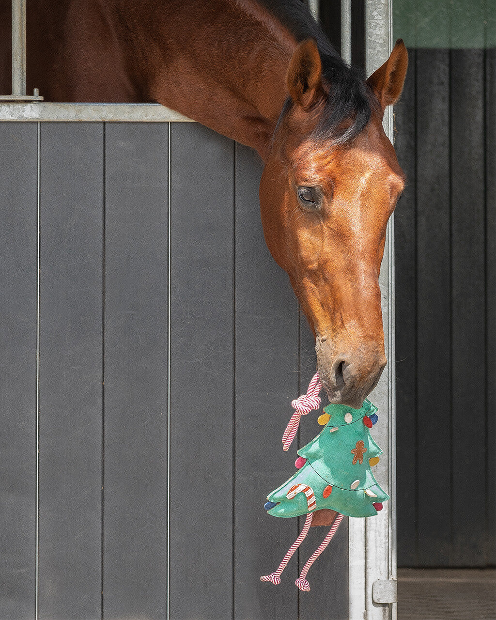 Horse Toy Christmas