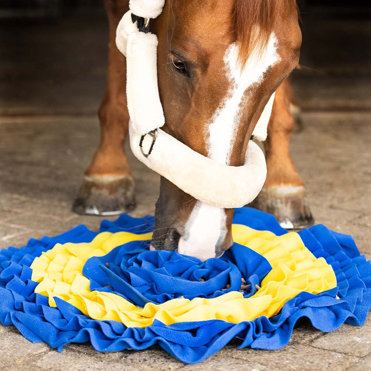 Snuffle mat for horses