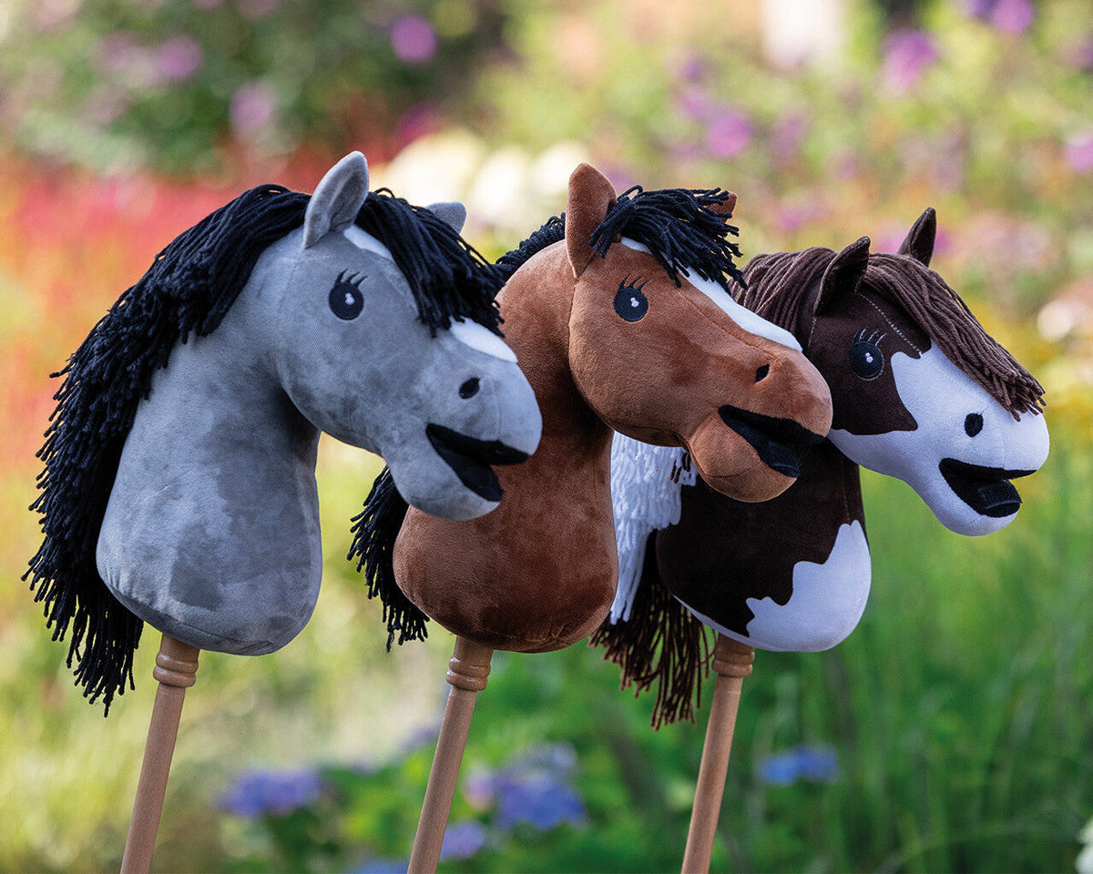 Hobby horse