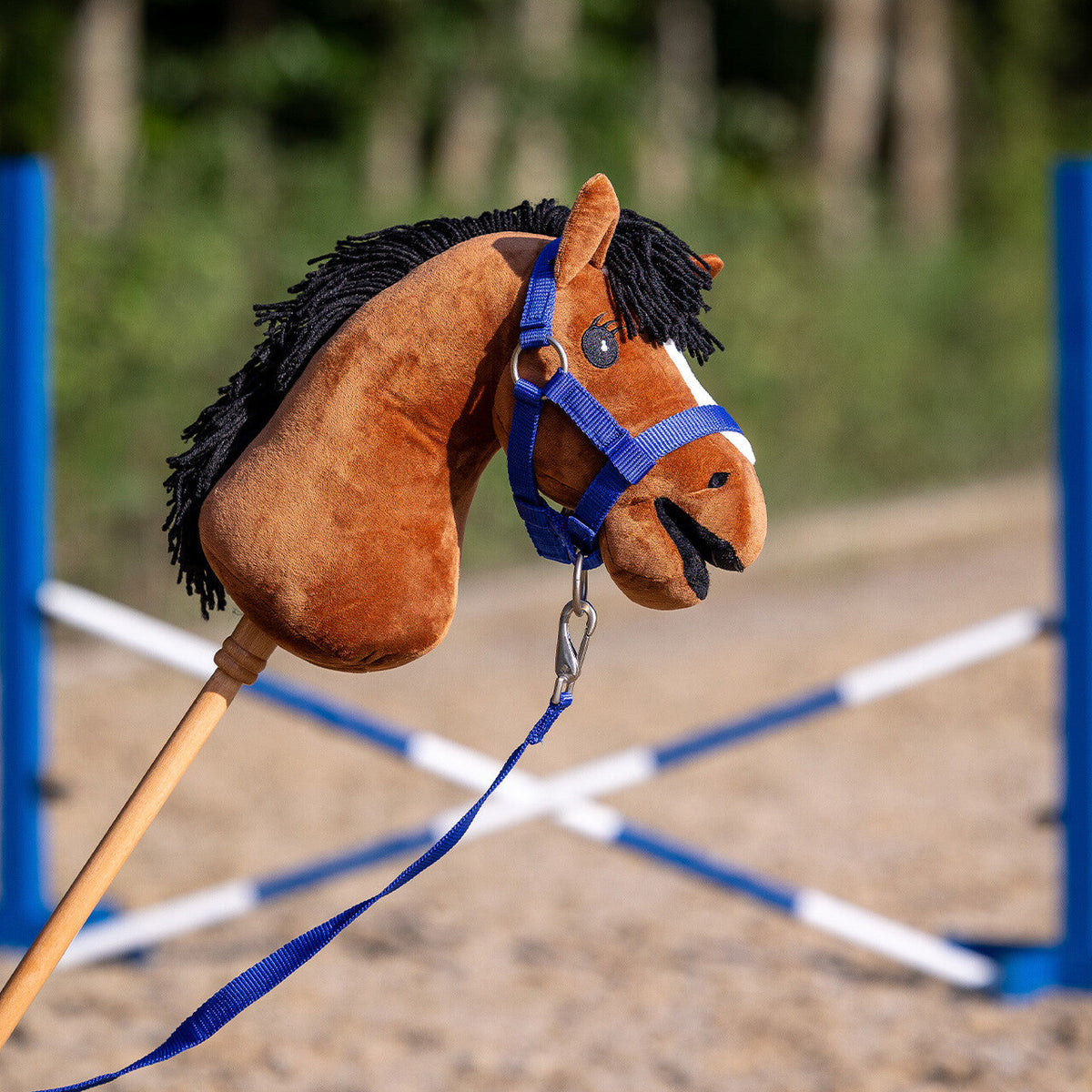 Head collar set Hobby horse