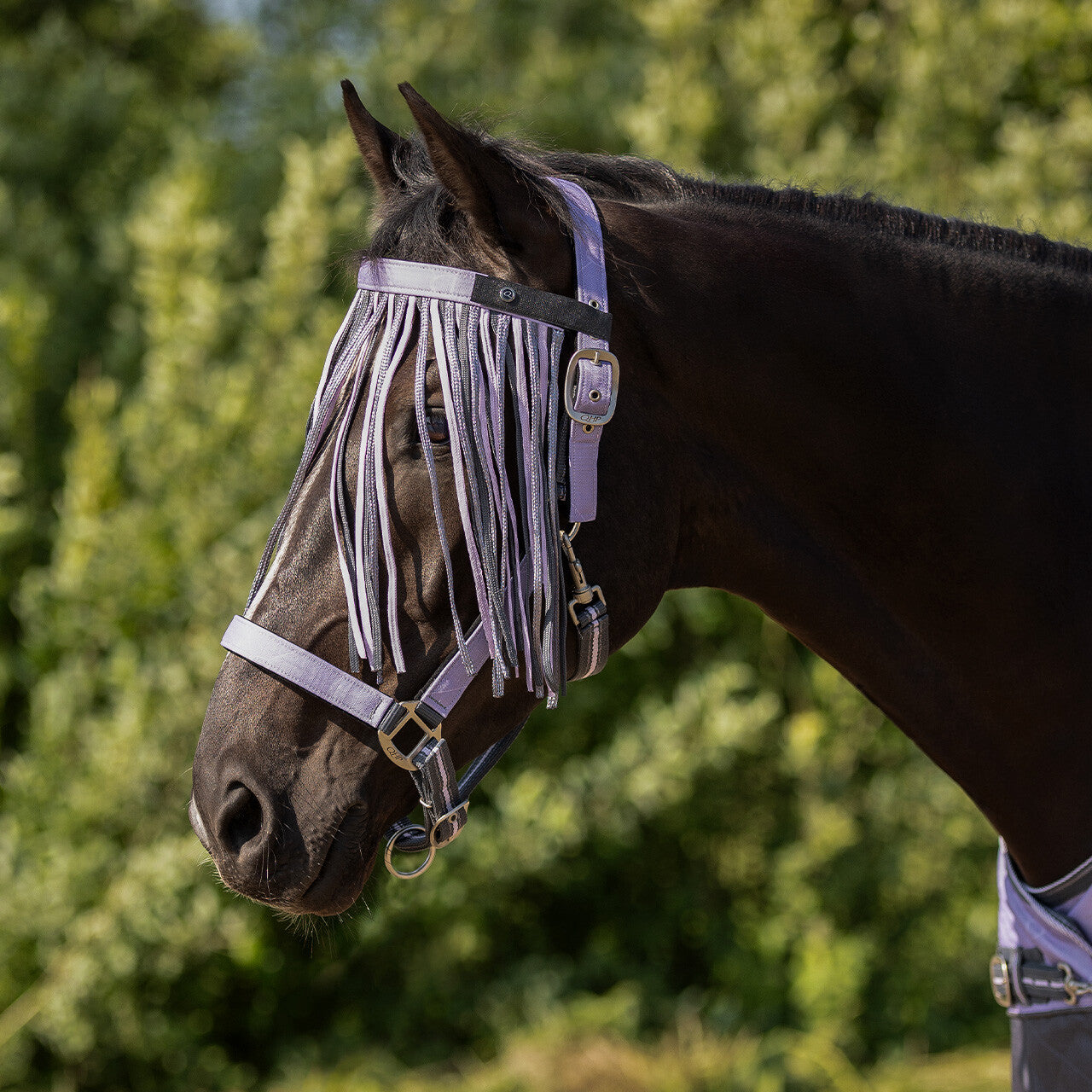 Fly fringe collection