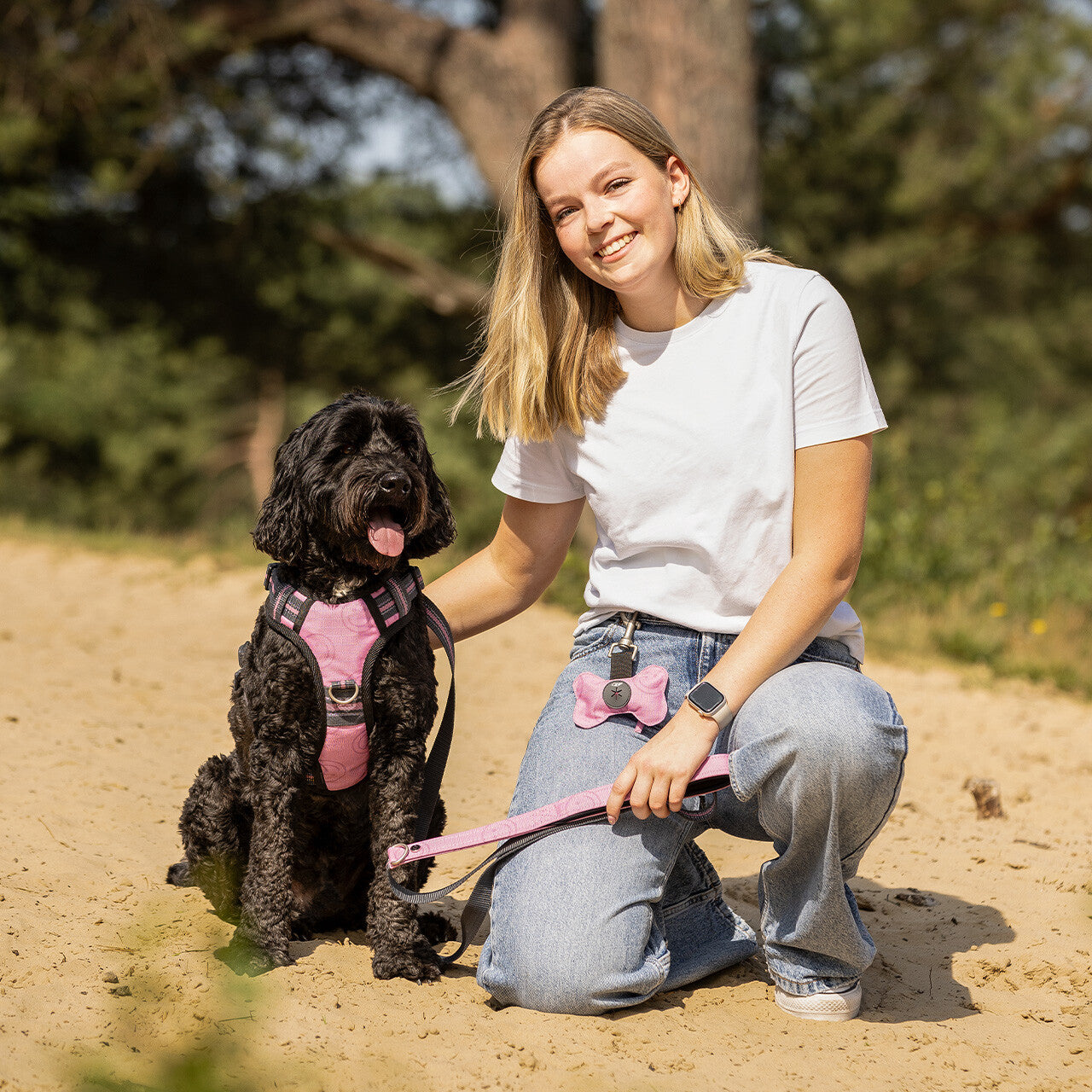 Dog poop bag holder collection